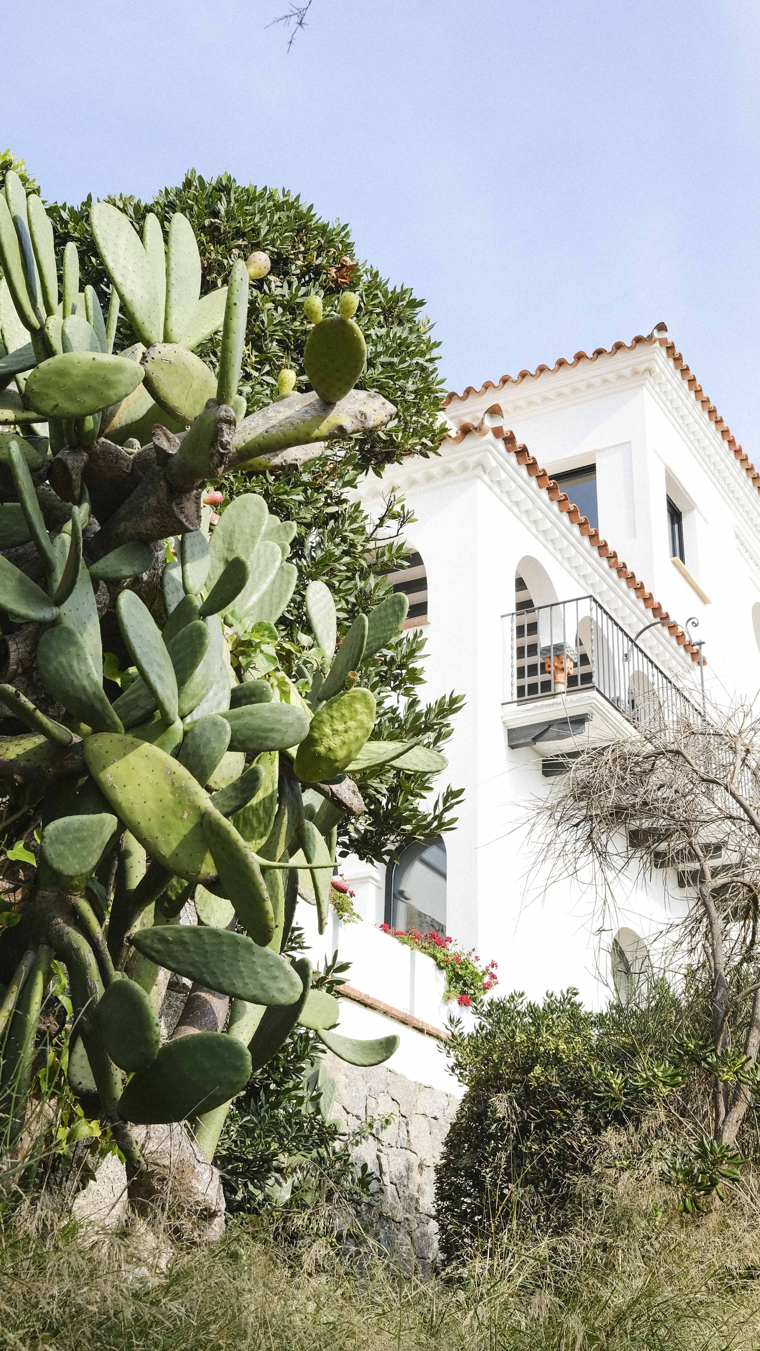 TR_Document Name_16_websize.jpg