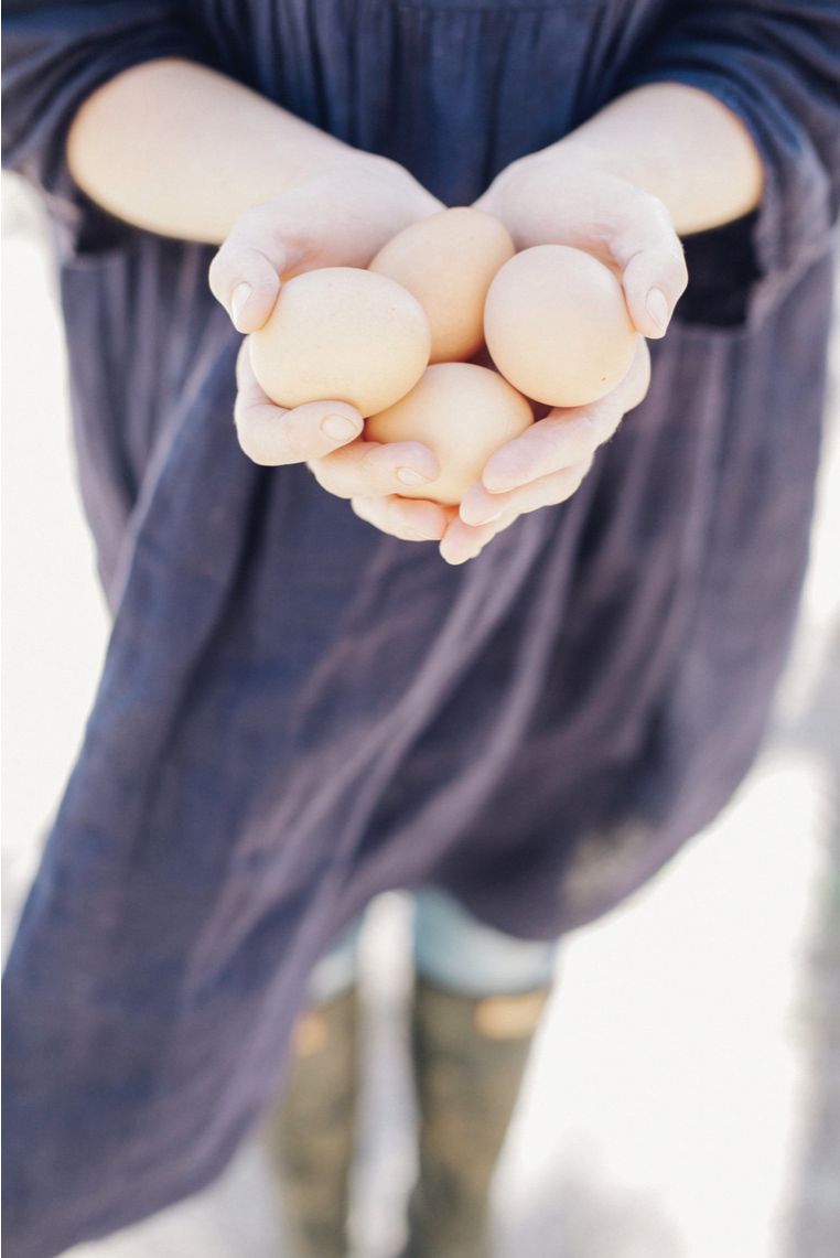 Screenshot 2024-04-02 at 5.31.58 pm.png