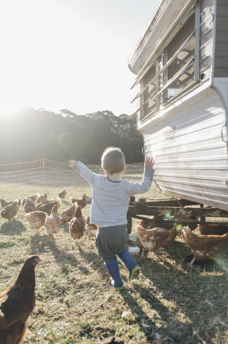 Screenshot 2024-04-02 at 5.32.45 pm.png