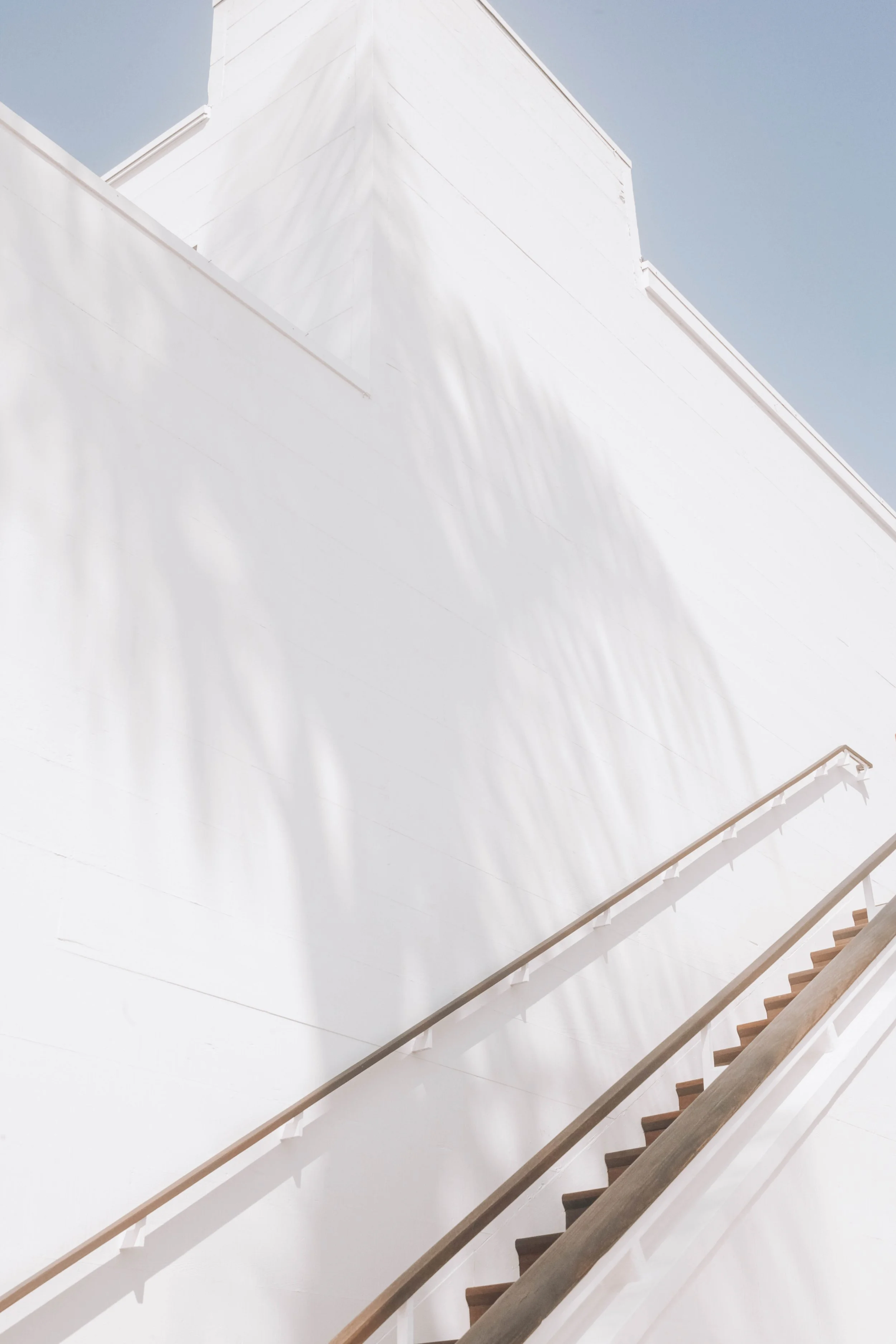 Palm Shadows_V1_websize.jpg