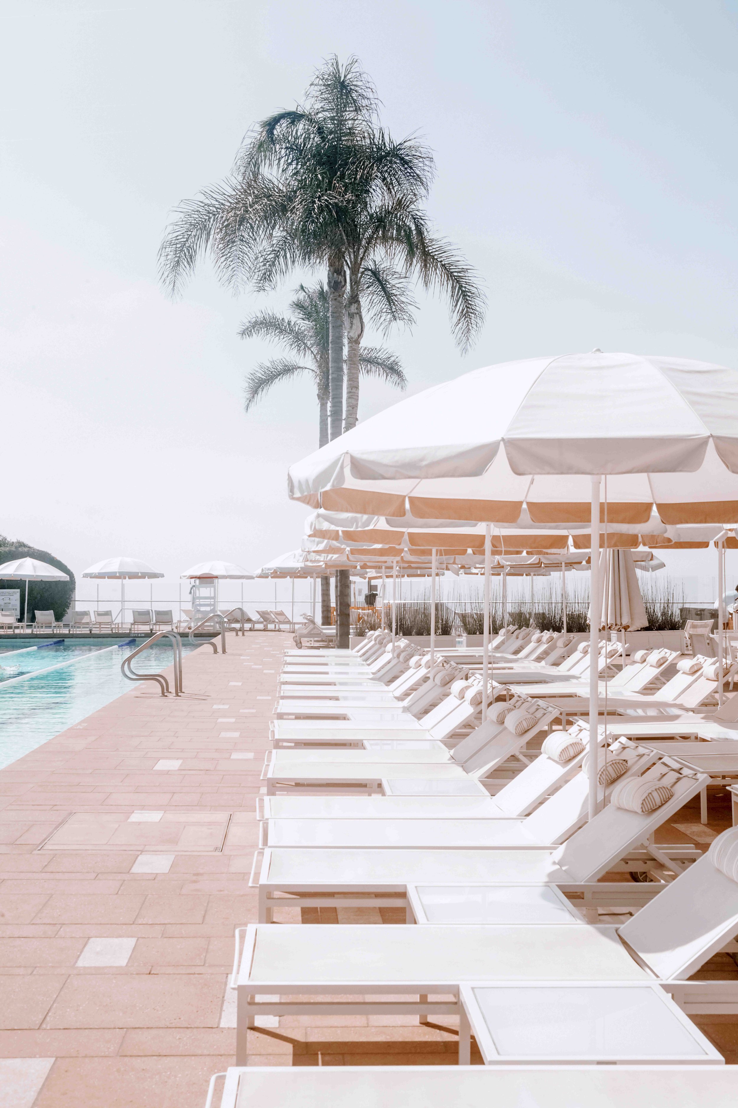 Sunloungers Vertical_V2_2_websize.jpg