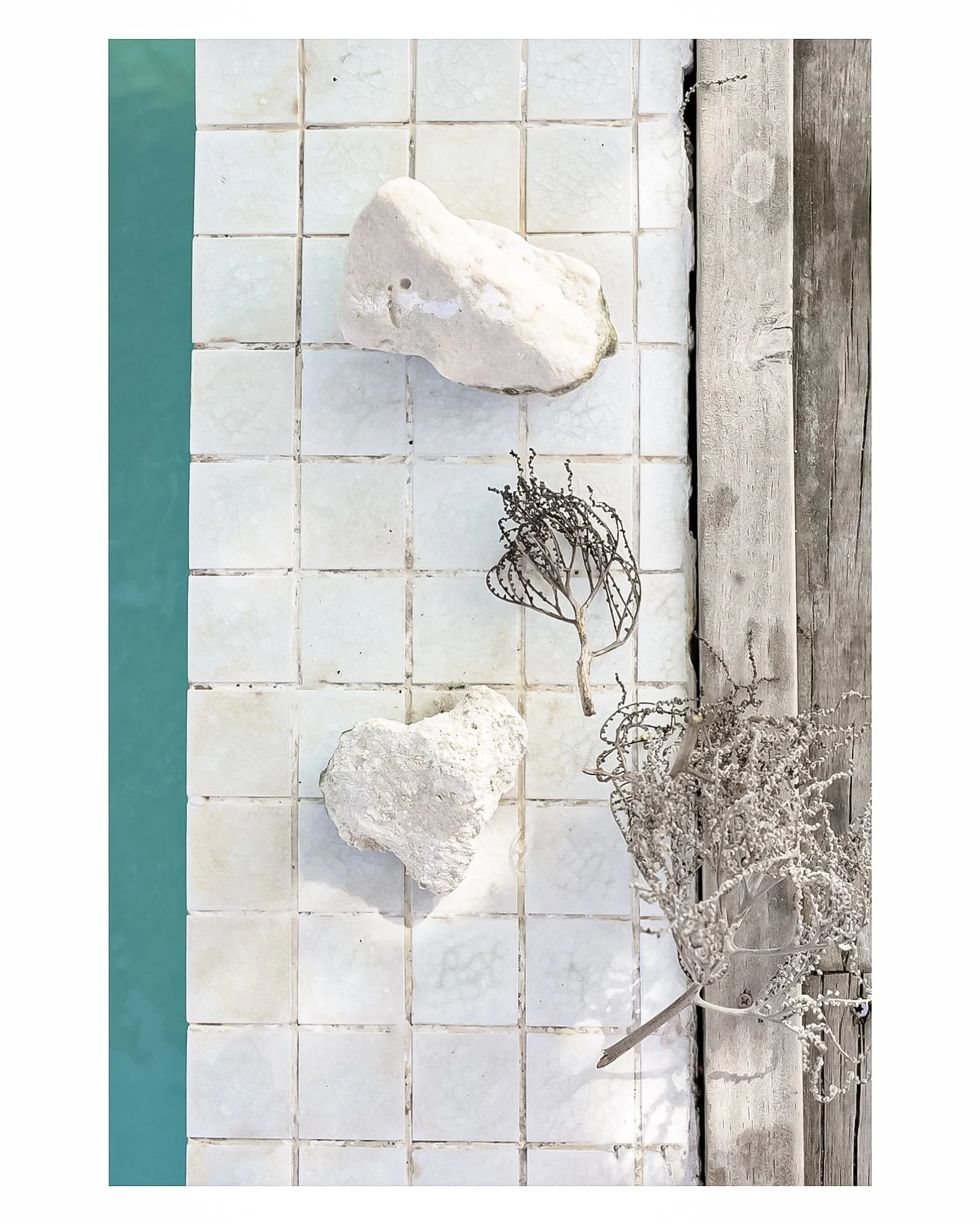 Document Name_v2EC_web-cquiddington_21.jpg