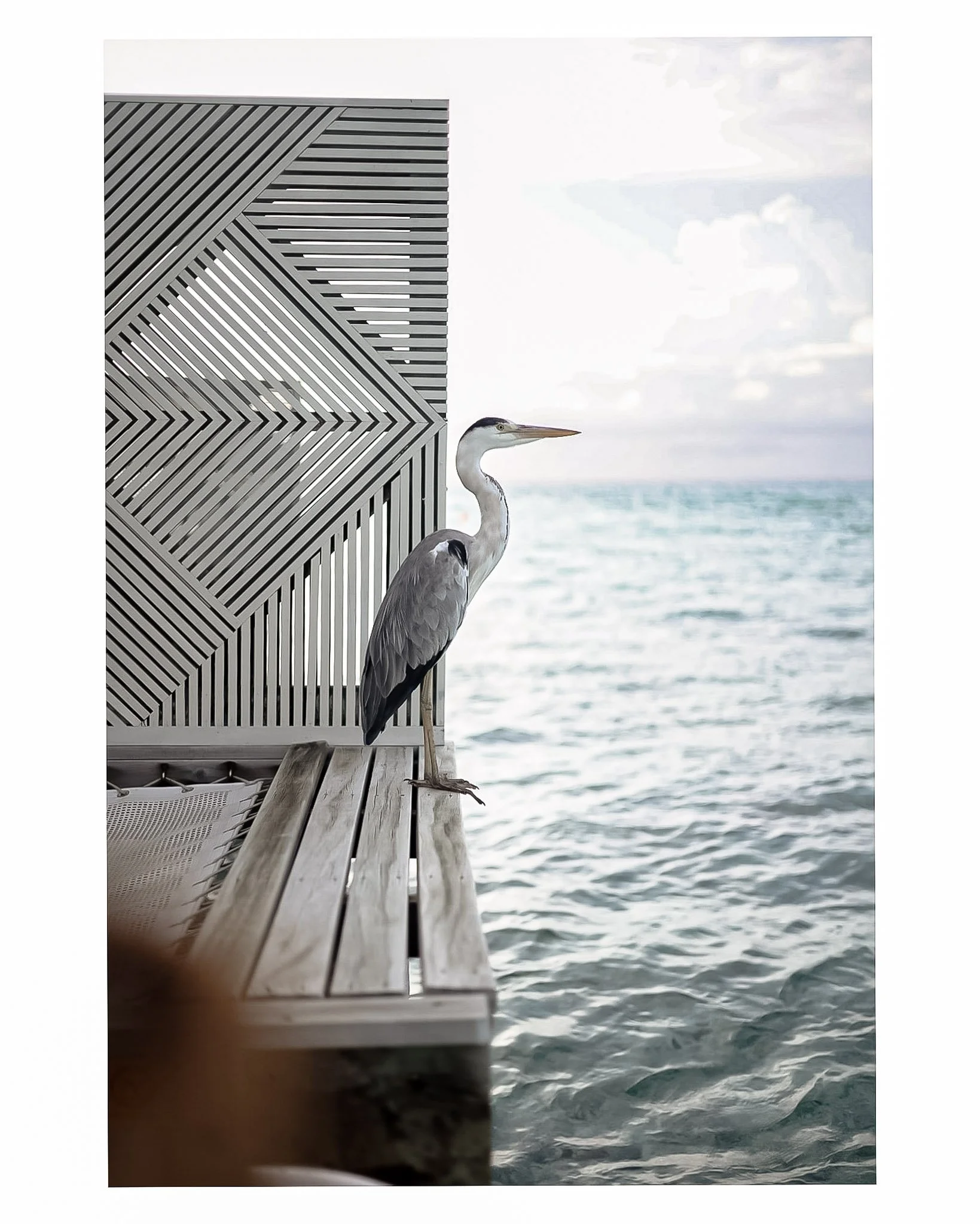 Document Name_v2EC_web-cquiddington_25.jpg