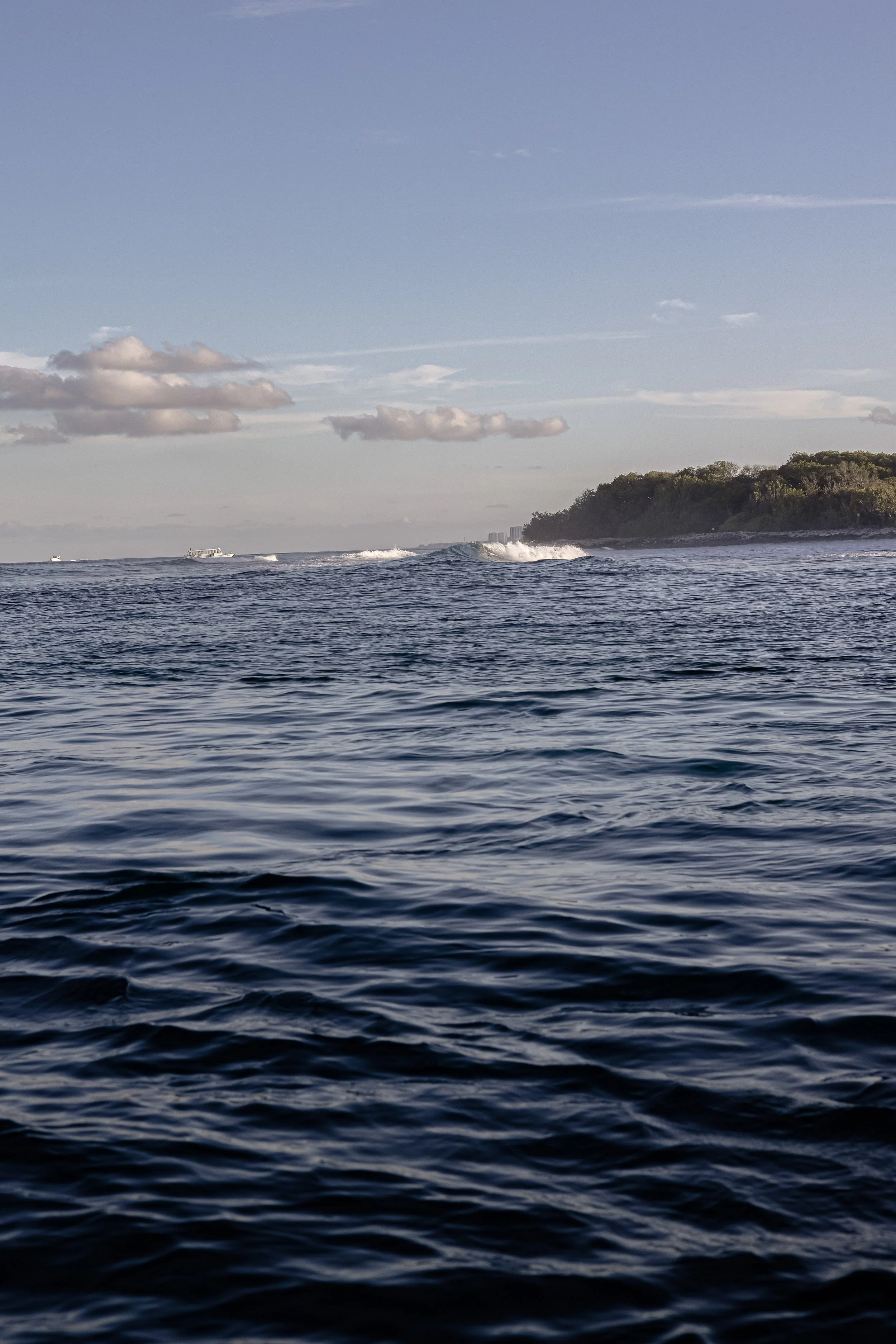 Document Name_v2EC_web-cquiddington_3.jpg