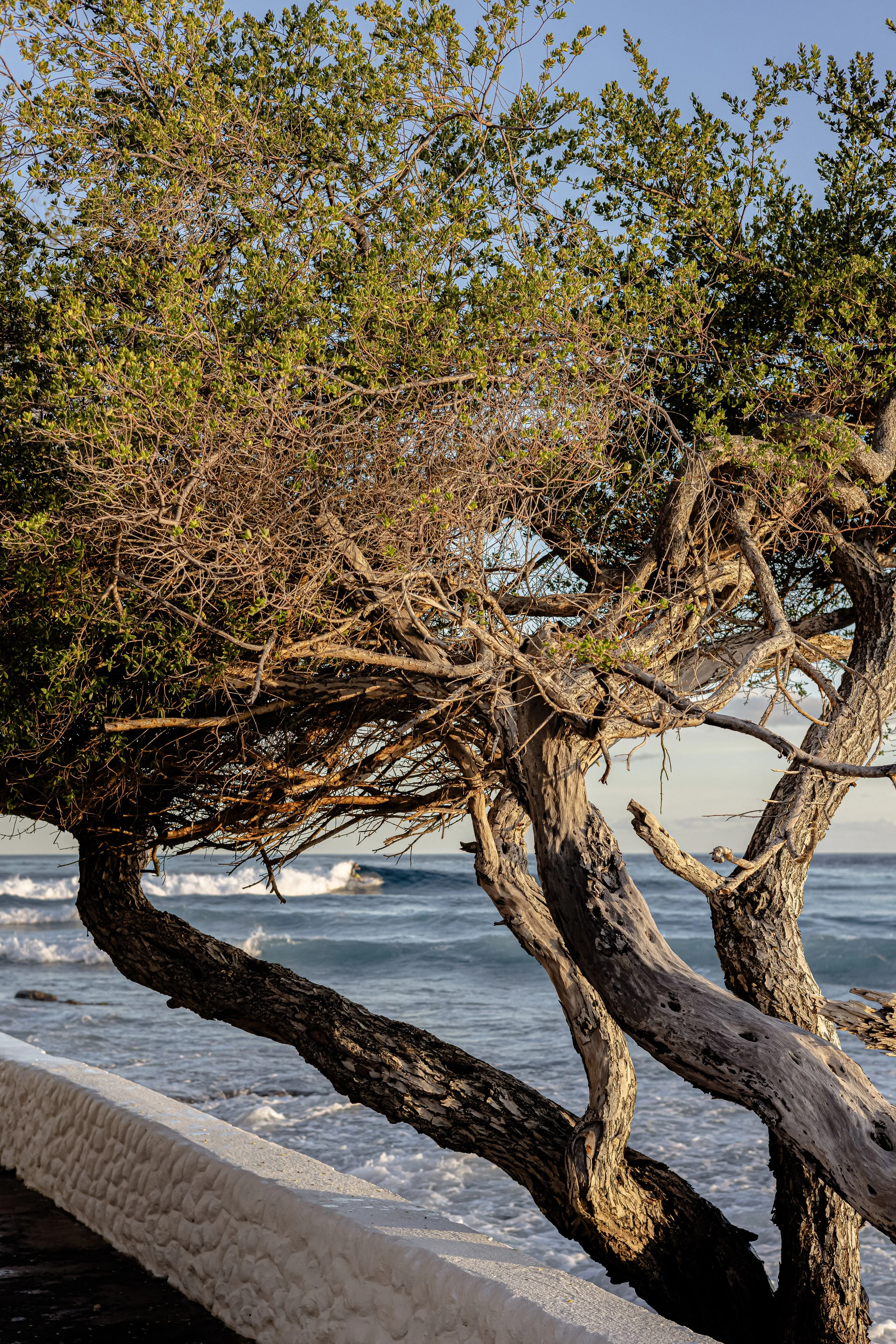 Document Name_v2EC_web-cquiddington_5.jpg