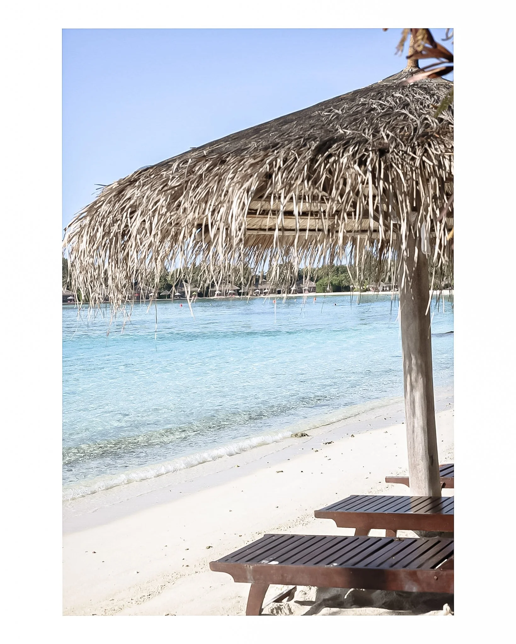 Document Name_v2EC_web-cquiddington_13.jpg