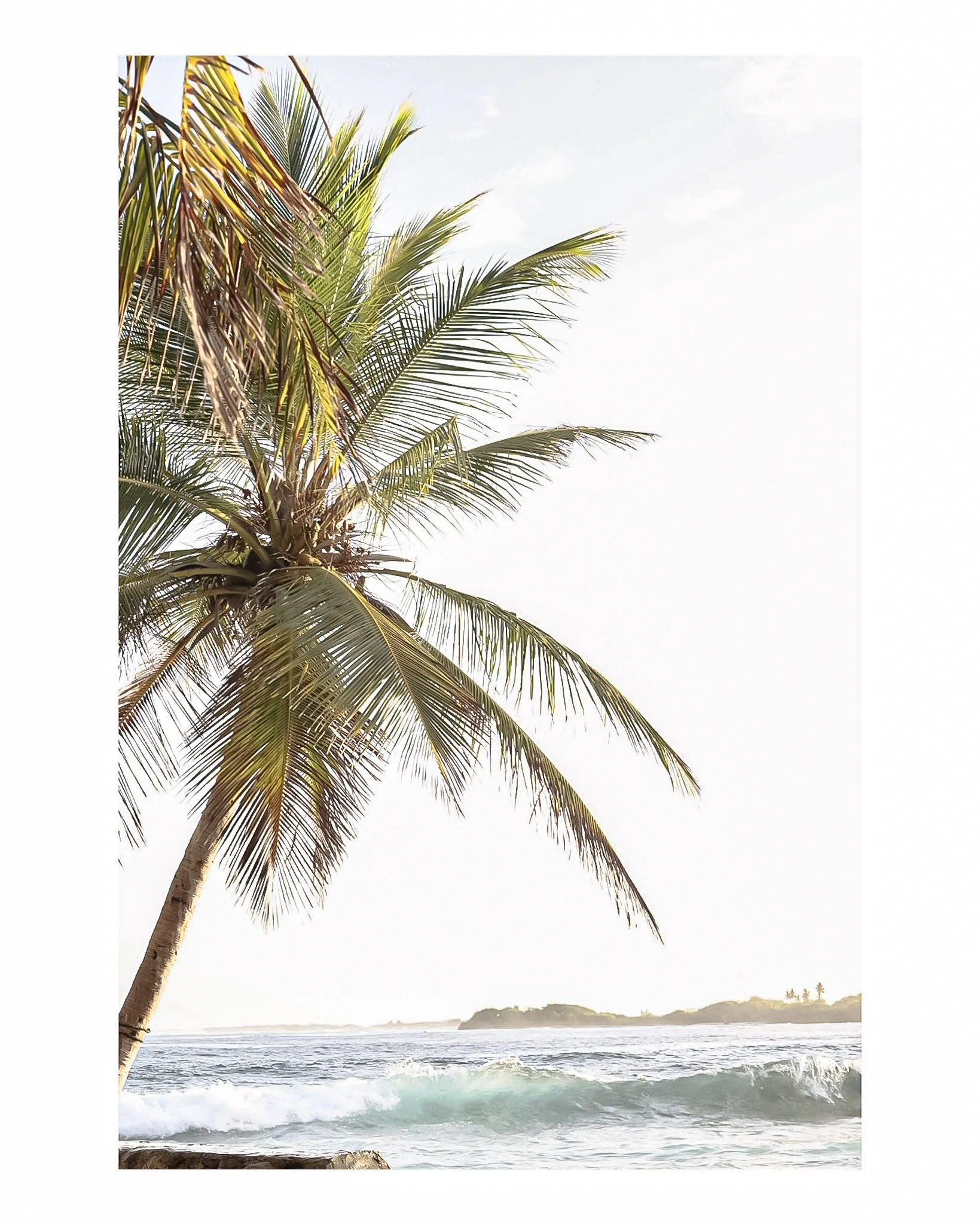 Document Name_v2EC_web-cquiddington_10.jpg