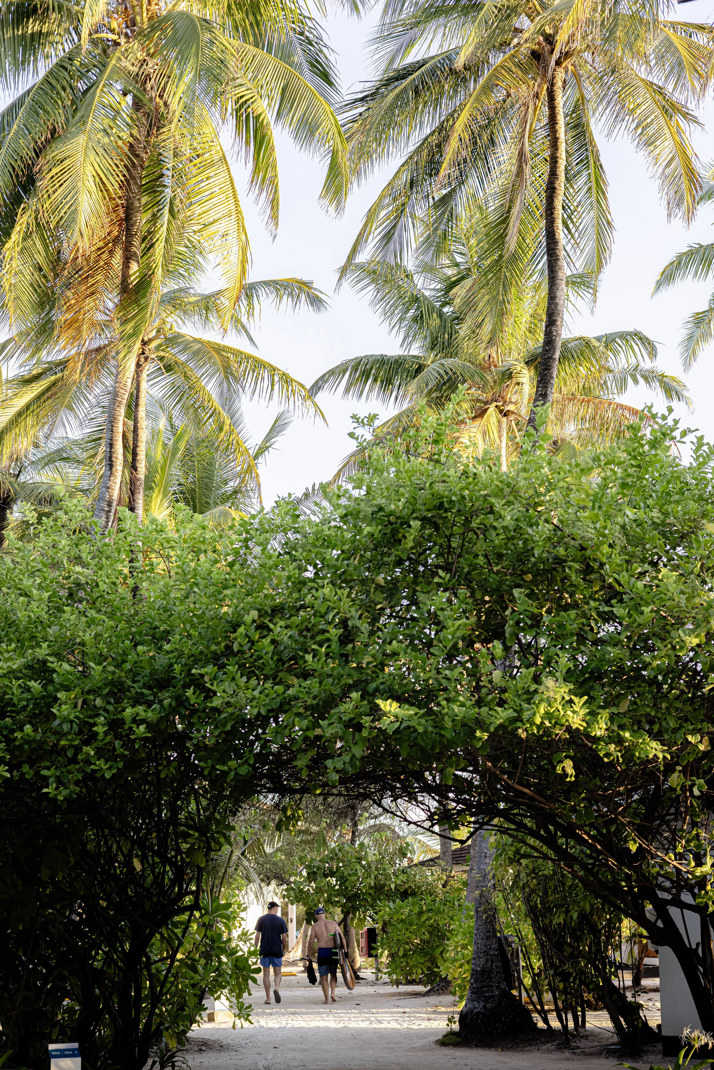 Document Name_v2EC_web-cquiddington_6.jpg