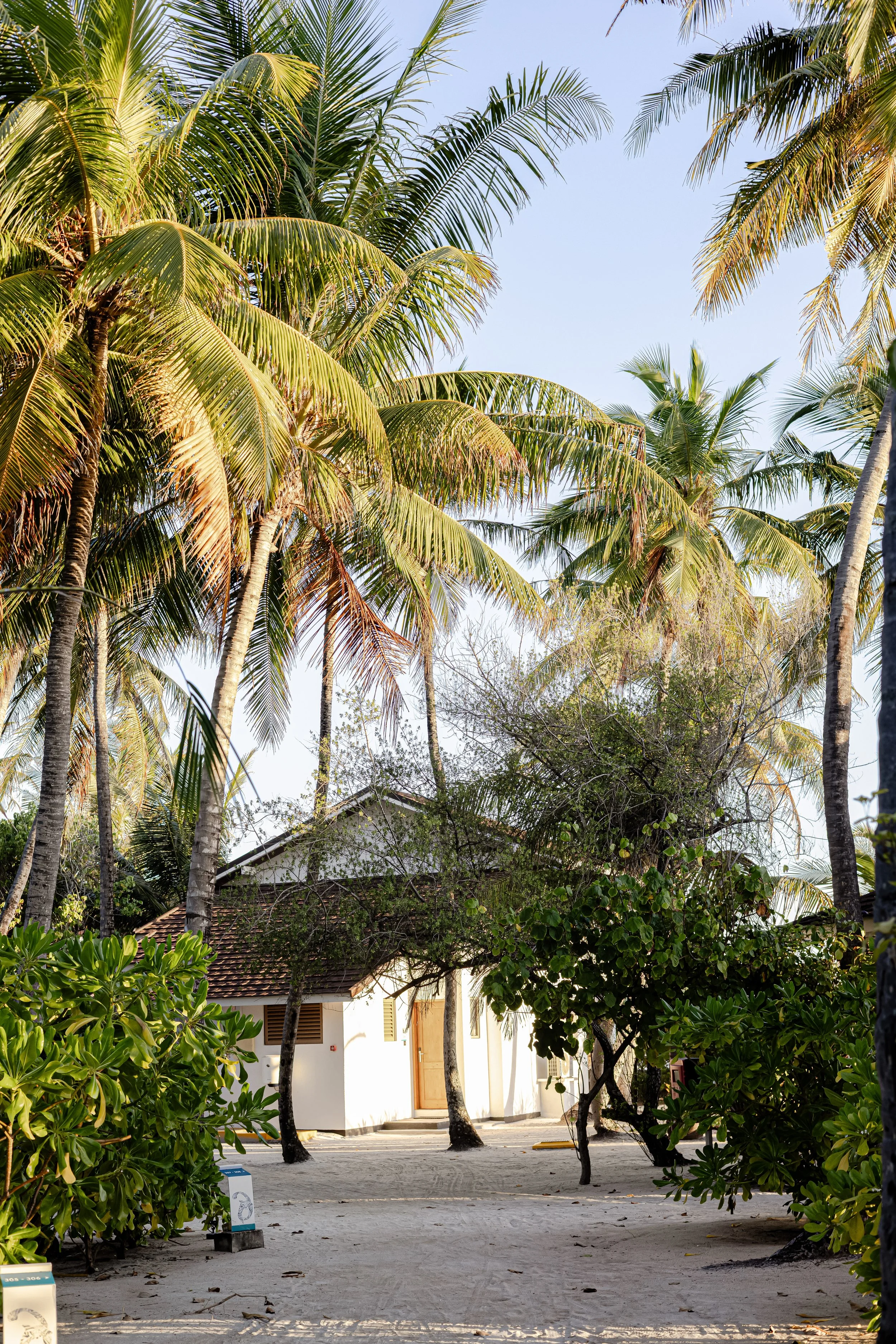 Document Name_v2EC_web-cquiddington_4.jpg