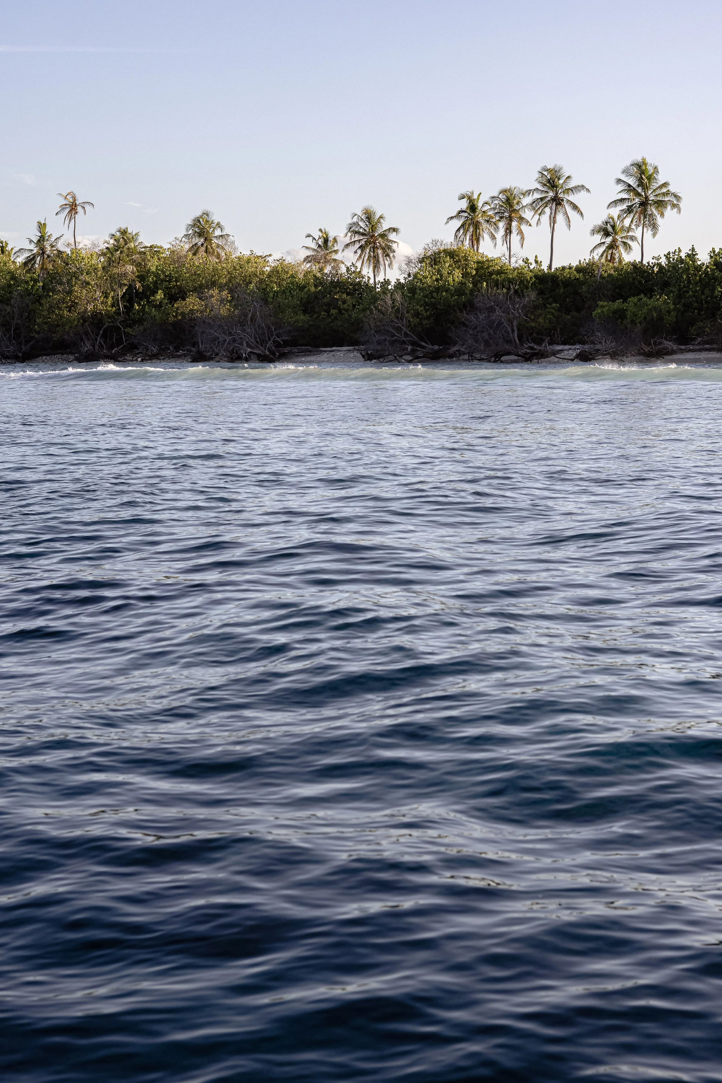 Document Name_v2EC_web-cquiddington_2.jpg