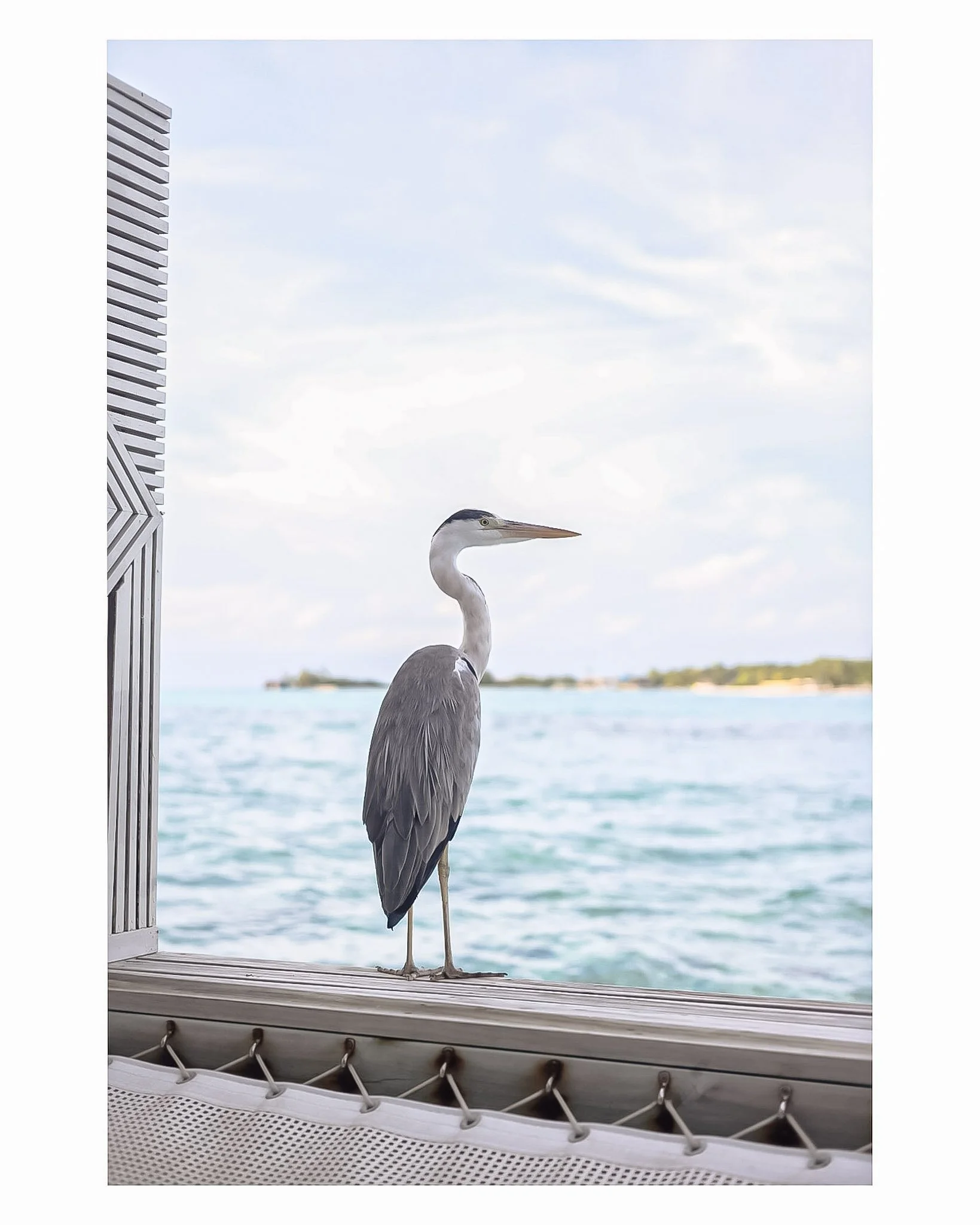 Document Name_v2EC_web-cquiddington_19.jpg