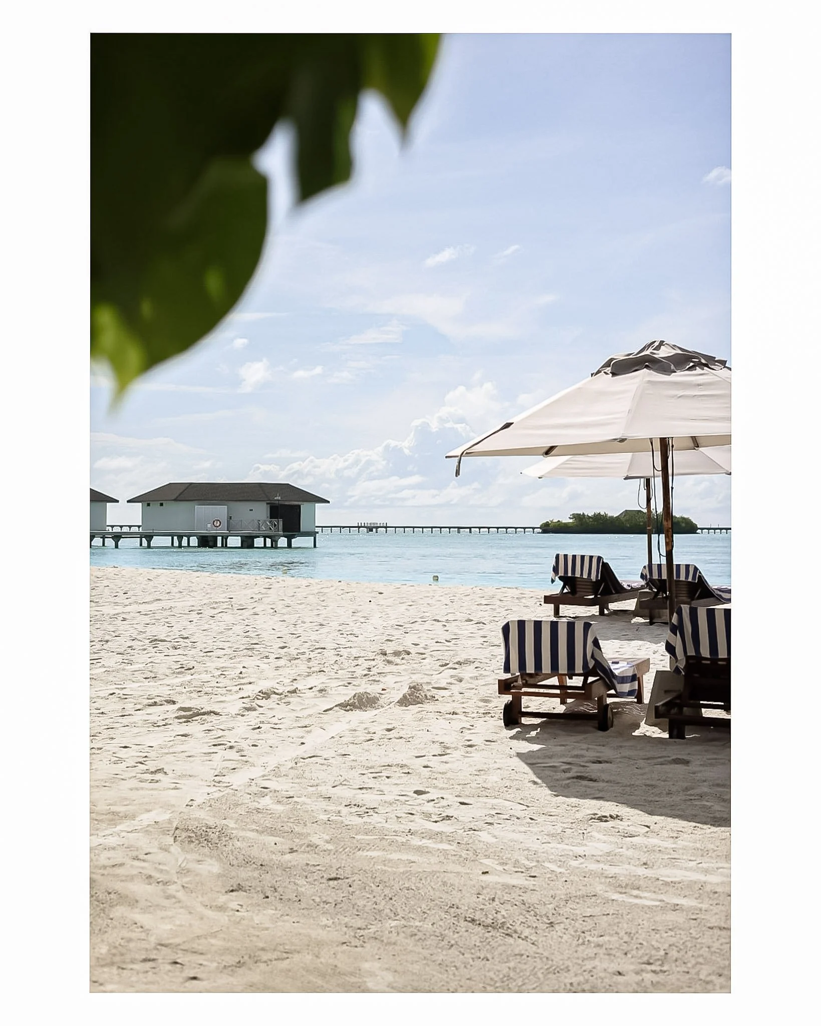 Document Name_v2EC_web-cquiddington_15.jpg