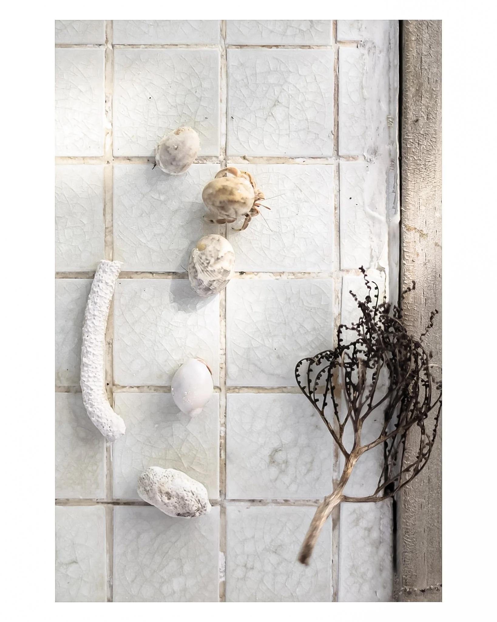 Document Name_v2EC_web-cquiddington_22.jpg