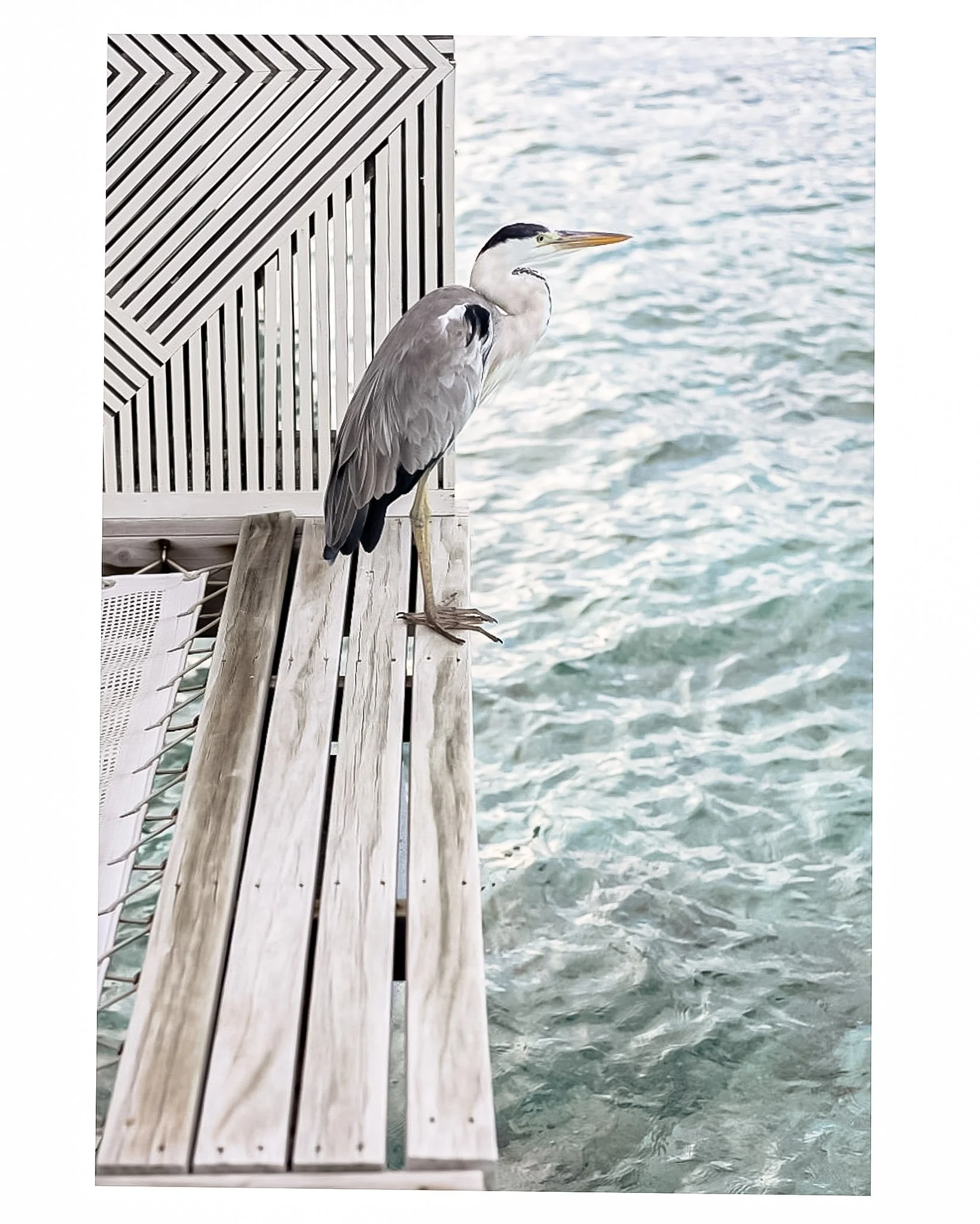 Document Name_v2EC_web-cquiddington_18.jpg