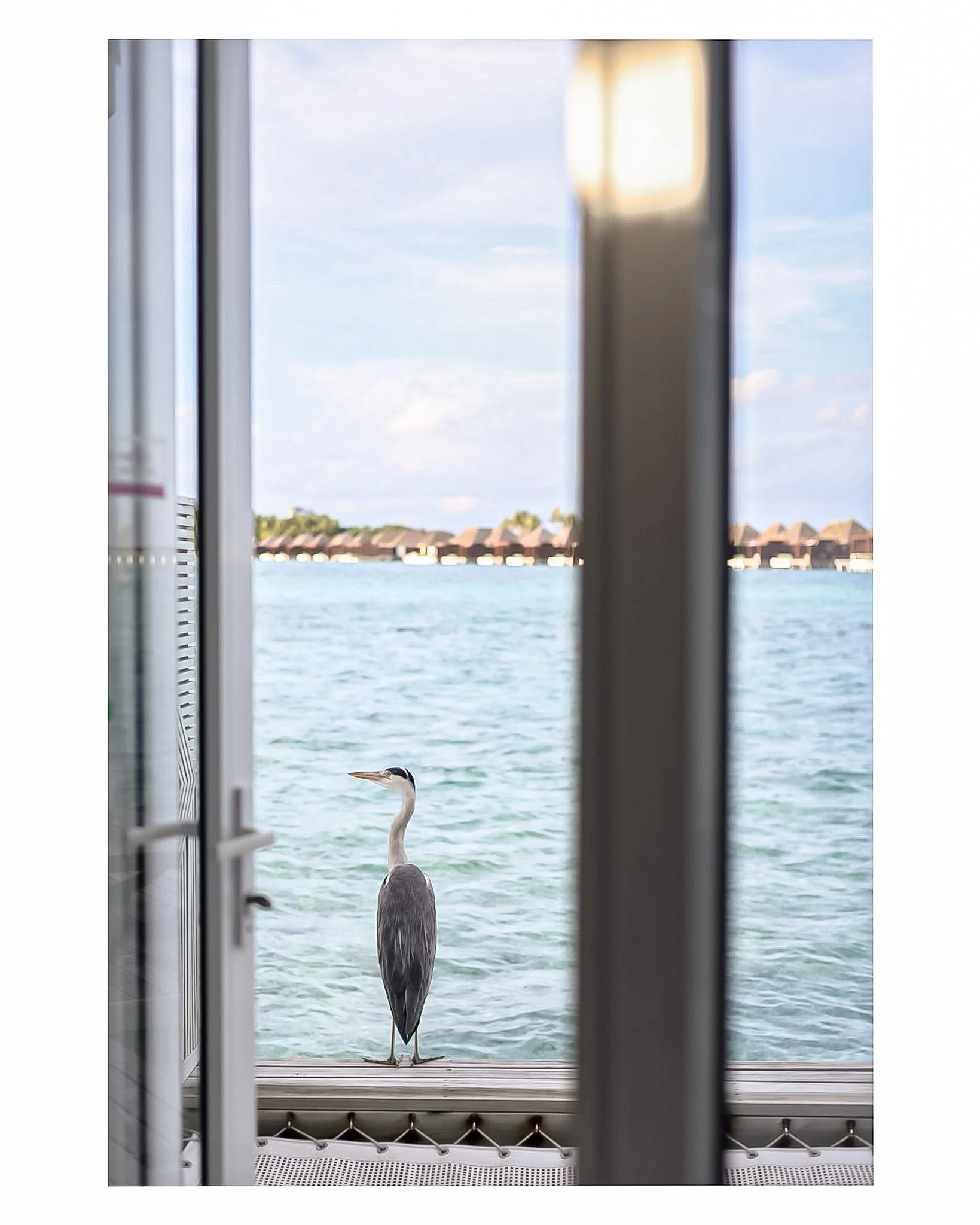 Document Name_v2EC_web-cquiddington_23.jpg