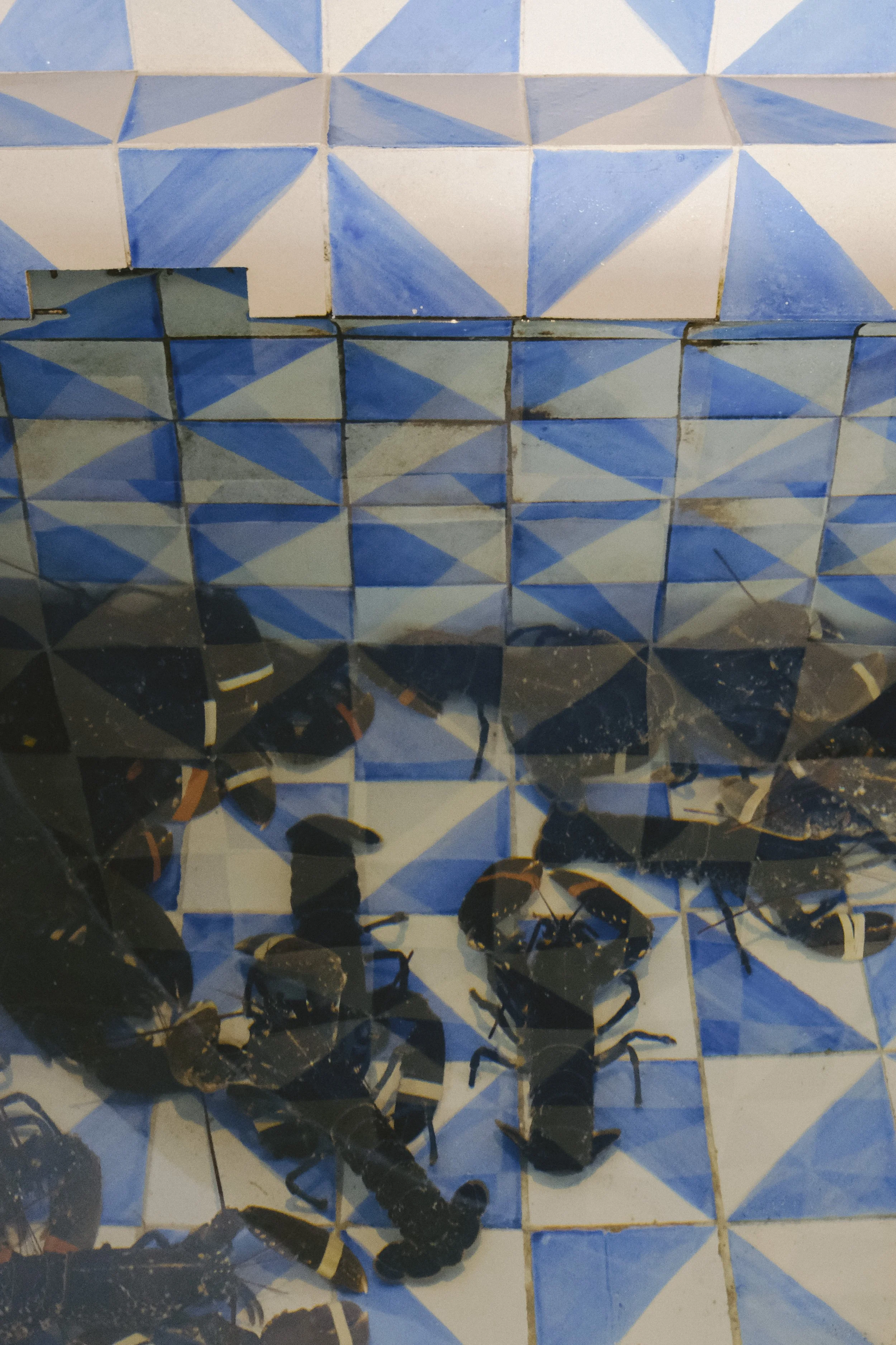 COSTA BRAVA-CQUIDDINGTON-DSCF7870.jpg