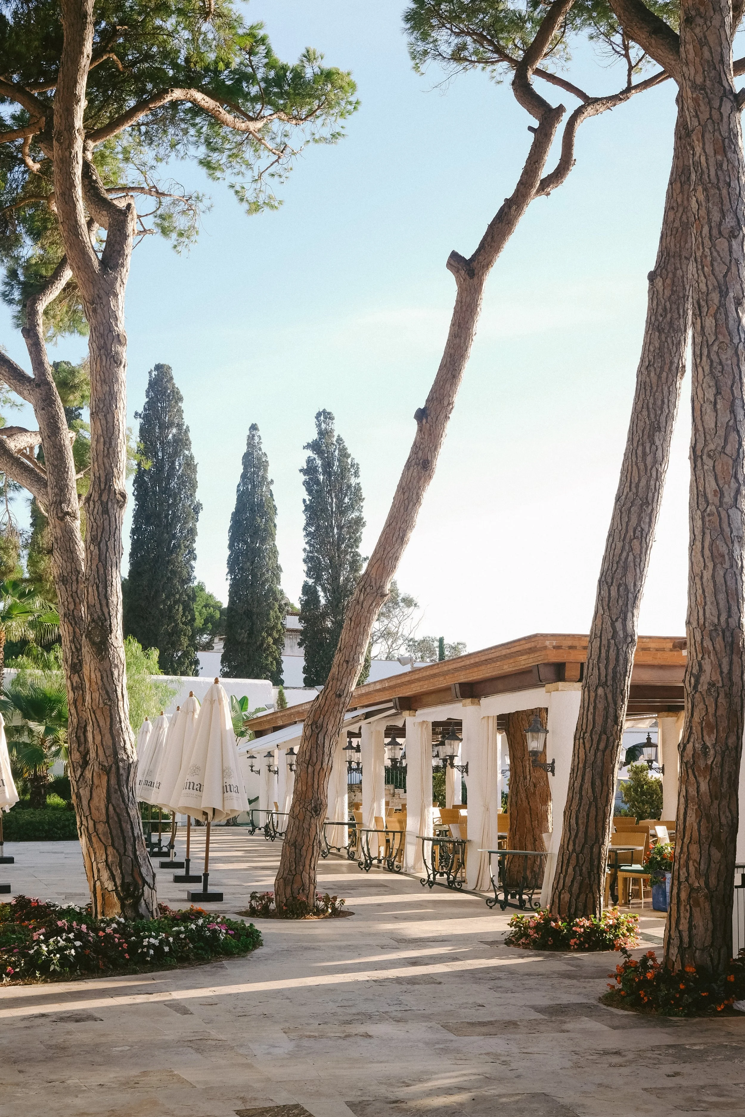 COSTA BRAVA-CQUIDDINGTON-DSCF7599.jpg