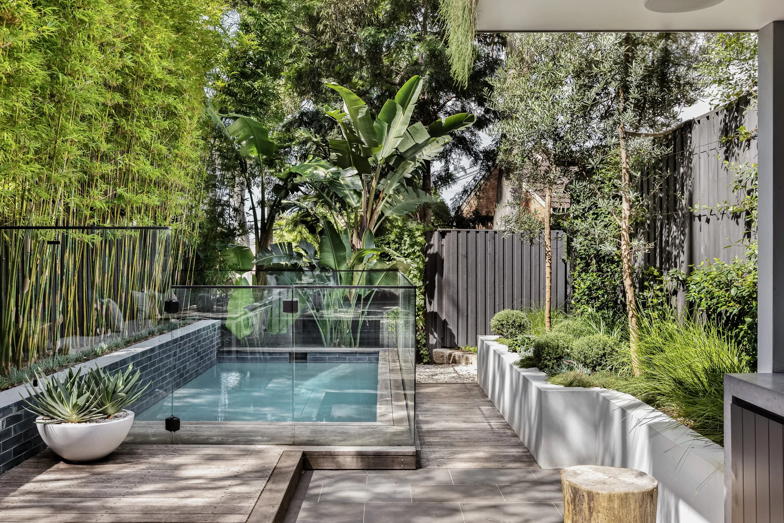 Llewellyn-St-16-Balmain-Pool2025project.jpg