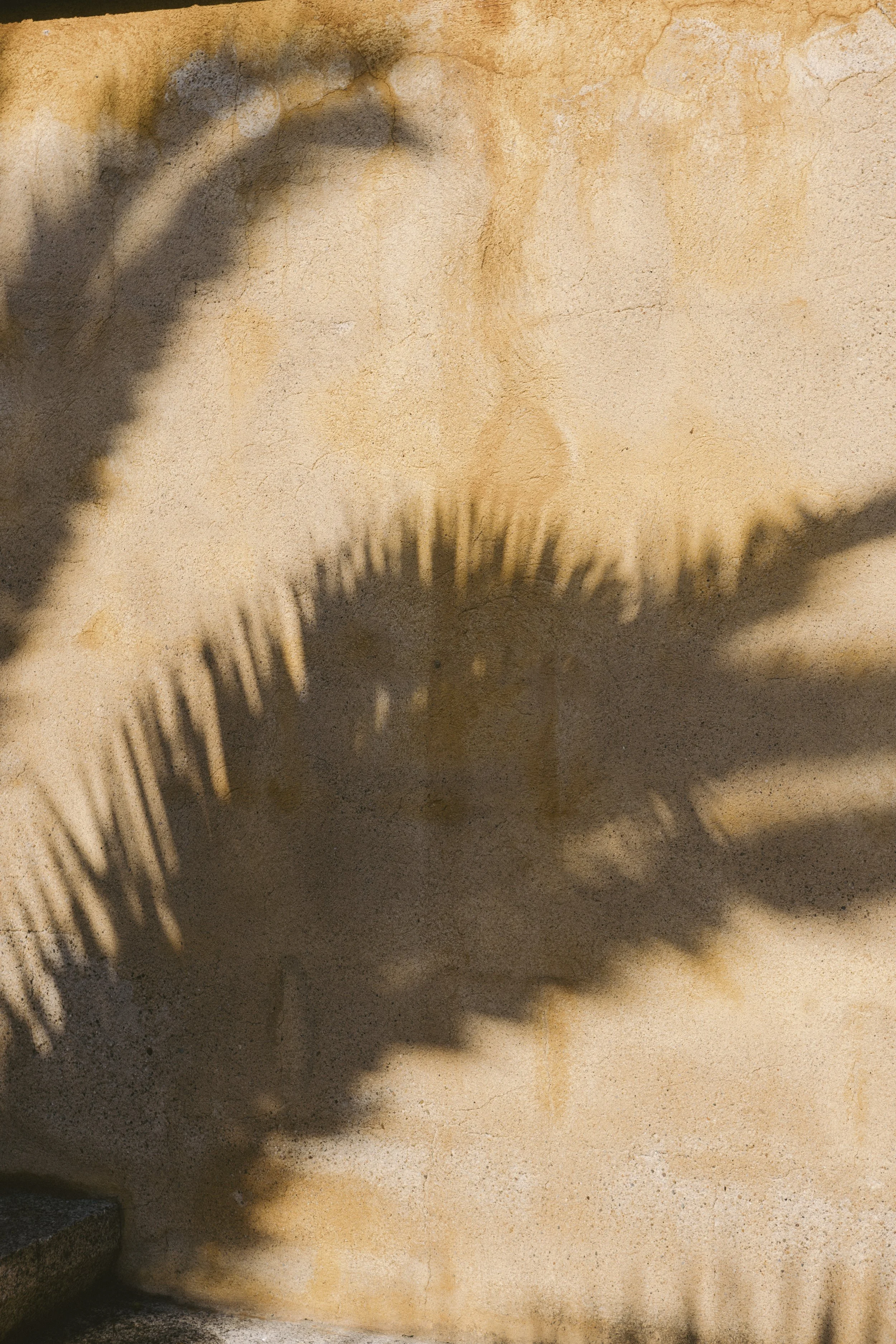 COSTA BRAVA-CQUIDDINGTON-1P0A9591.jpg