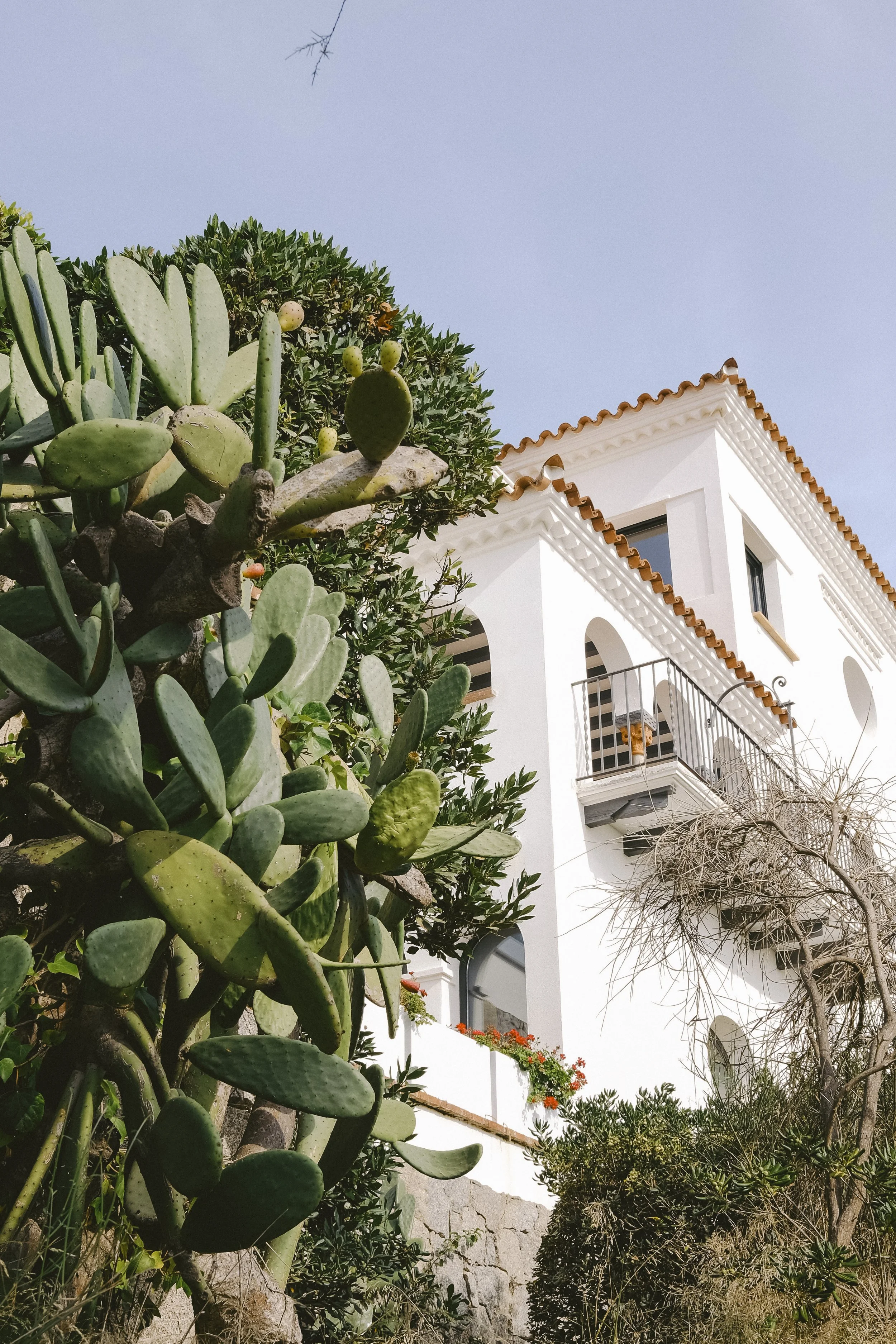 COSTA BRAVA-CQUIDDINGTON-DSCF7806.jpg