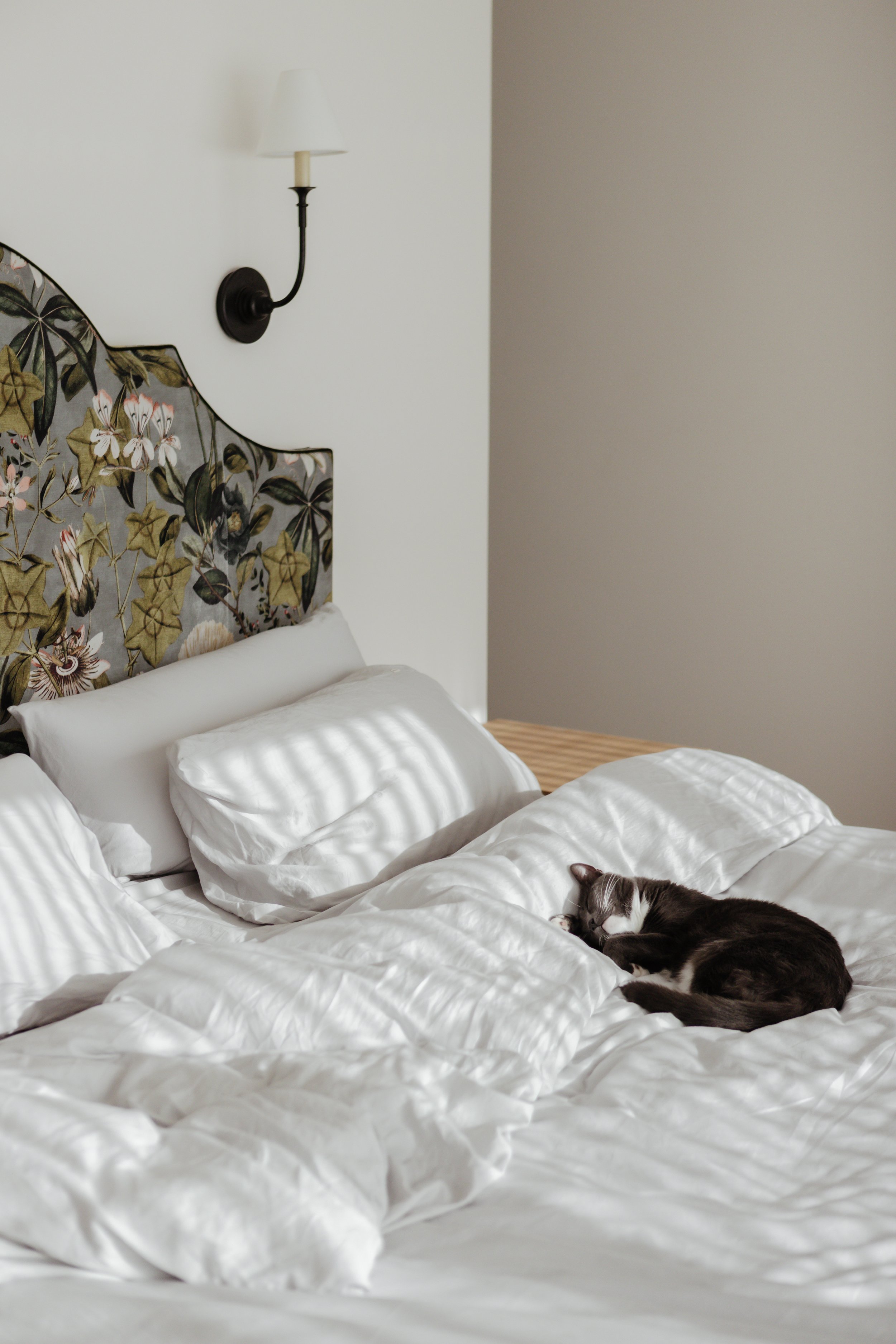 A cat sleeping on a white bed with white bedding and pillows, with a decorative headboard featuring a floral pattern and a wall sconce nearby.