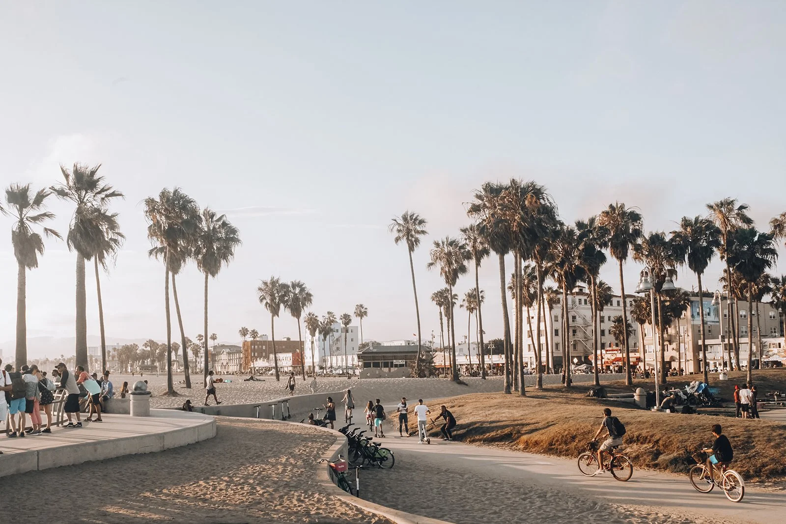 Beachside park with palm trees, people walking, biking, and sitting on grass, and multi-story buildings in the background during late afternoon.