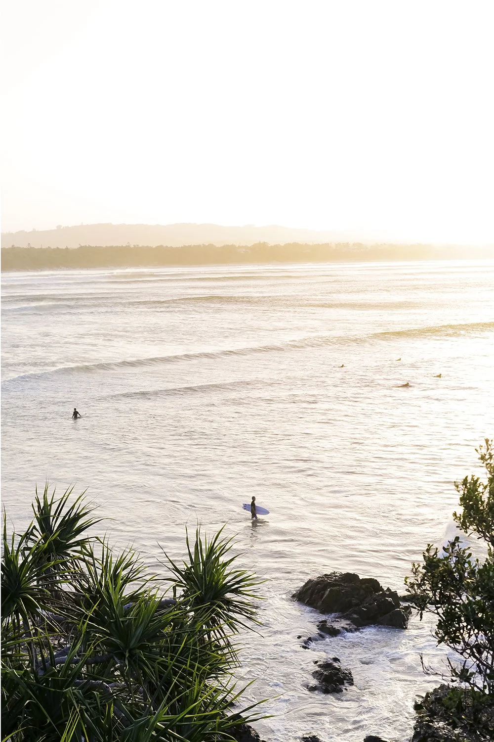 People surfing in the ocean at sunset with a rocky shoreline and green plants in the foreground.