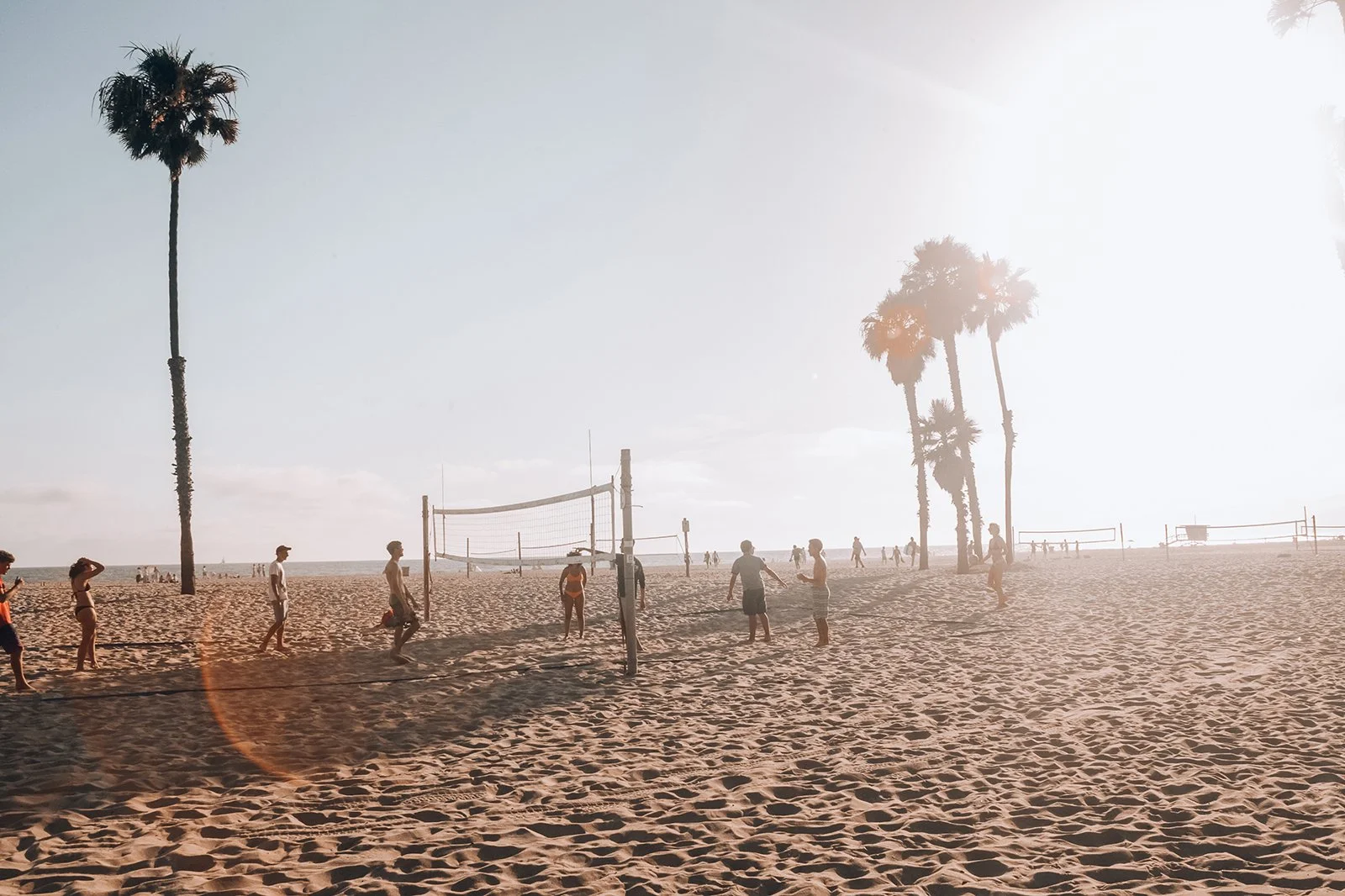 People playing volleyball on the beach with palm trees and the ocean in the background during sunset or sunrise