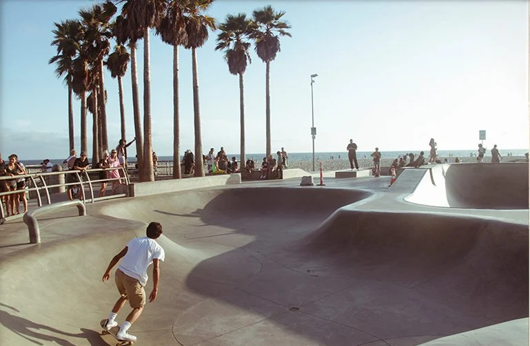 A skate park near the beach with people skating, sitting, and walking. Tall palm trees line the area, and the ocean can be seen in the background.