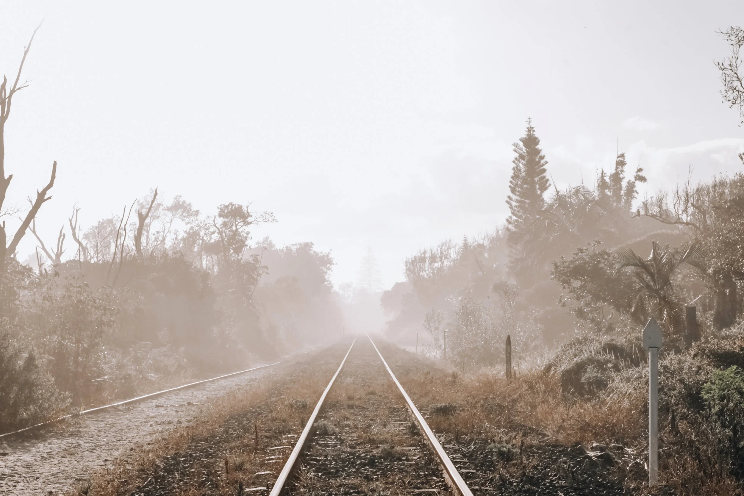 Train tracks stretching into the distance on a foggy day, flanked by trees and vegetation on both sides.