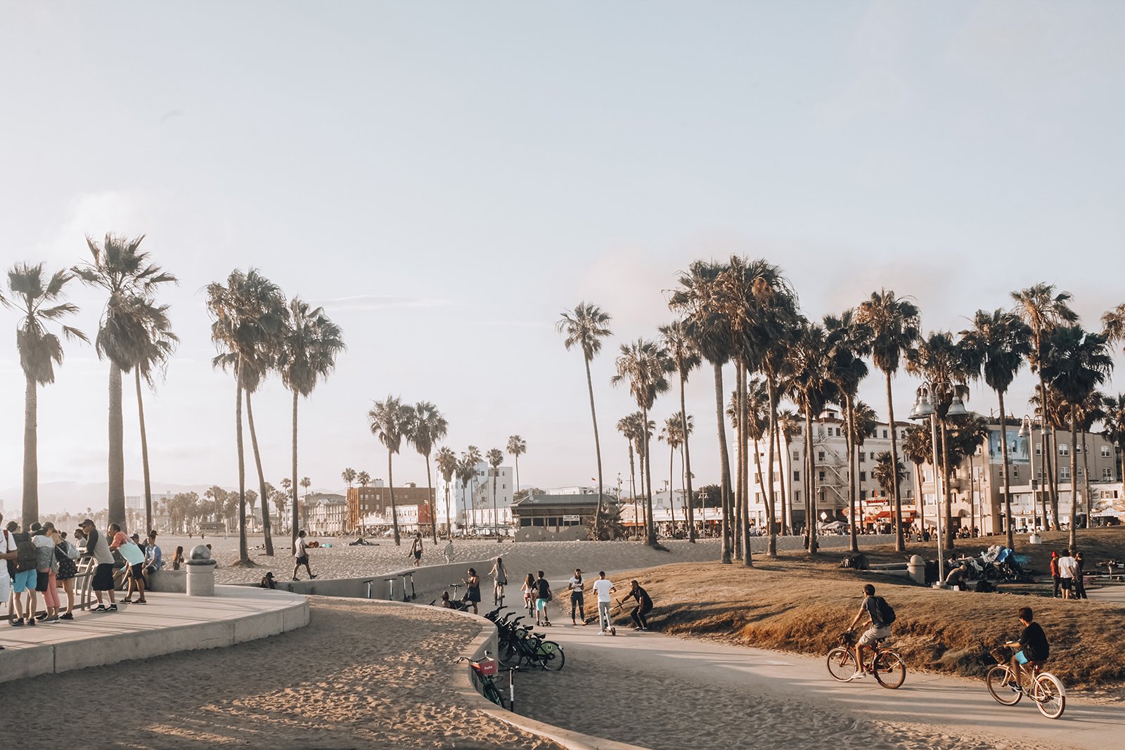 People walking, biking, and relaxing along a beach promenade with tall palm trees, sandy beach, and buildings in the background under a light blue sky.