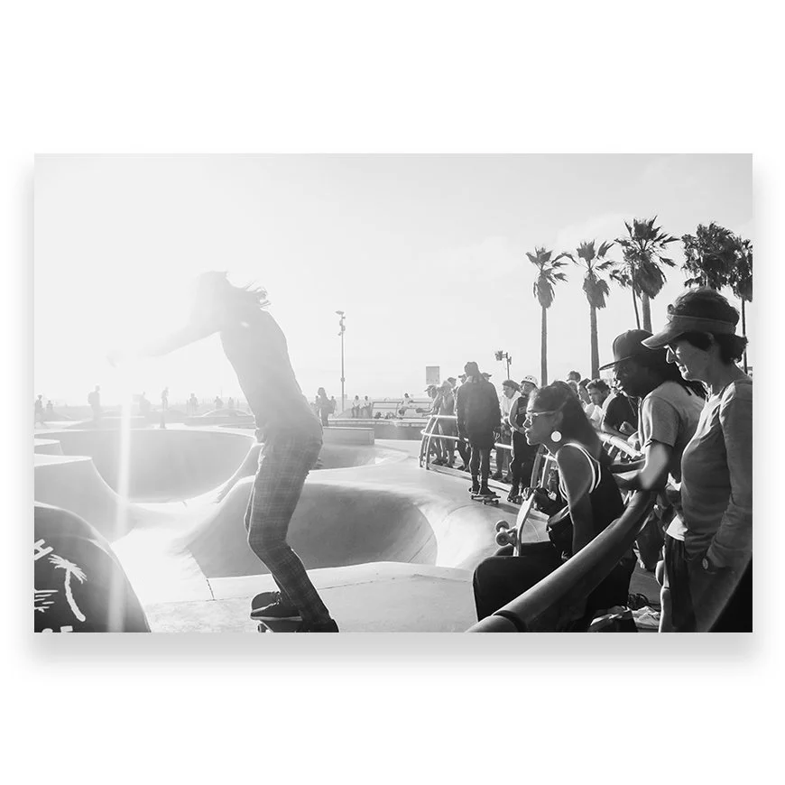 People at a skate park with a person mid-air on a skateboard and others watching, with palm trees in the background.