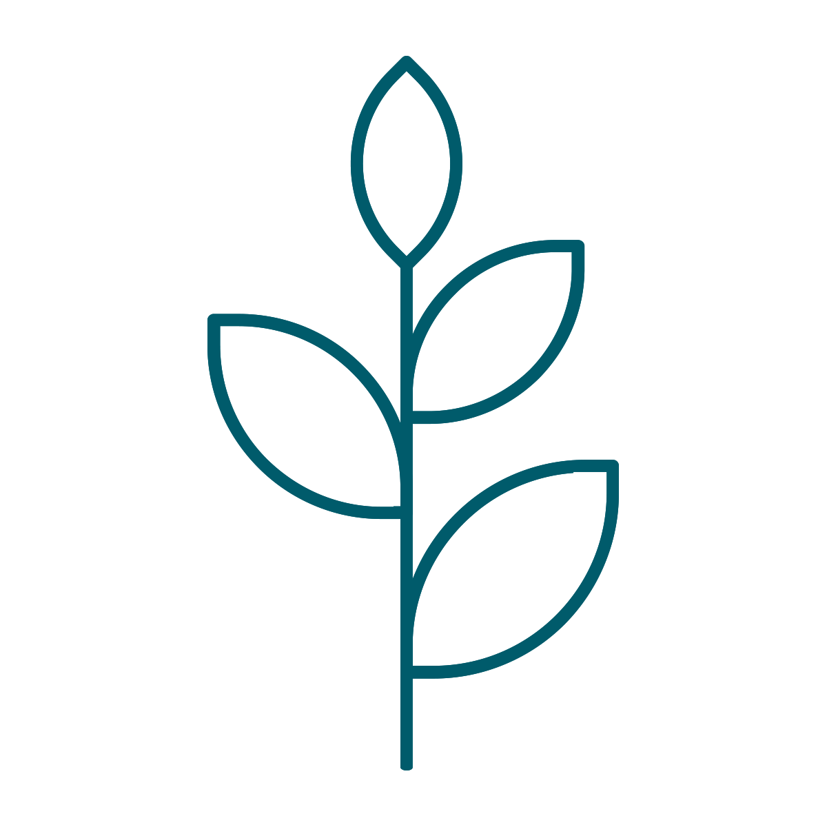 Spring activities icon