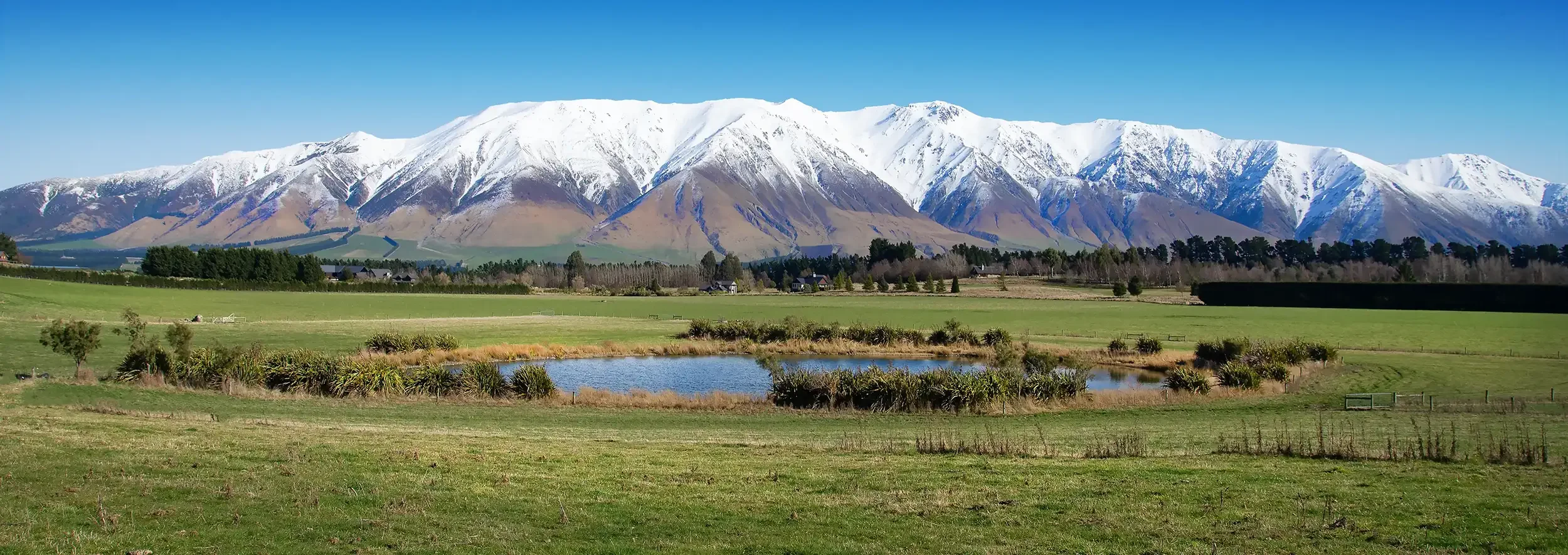Stunning view from Lot 12 at Tui Estate, Canterbury, overlooking the estate’s lake with the snowy Southern Alps in the background and rolling rural landscapes.