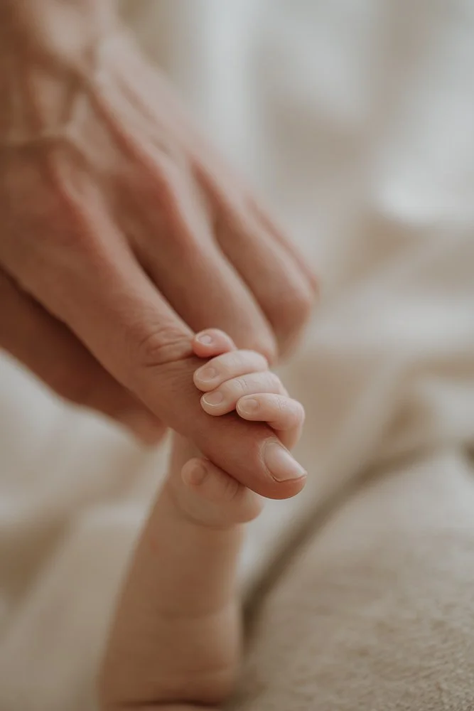 Newborn Session-134.jpg