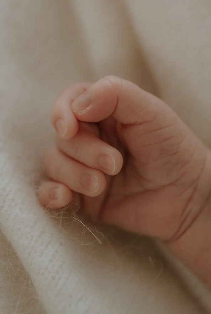 Newborn Session-132.jpg