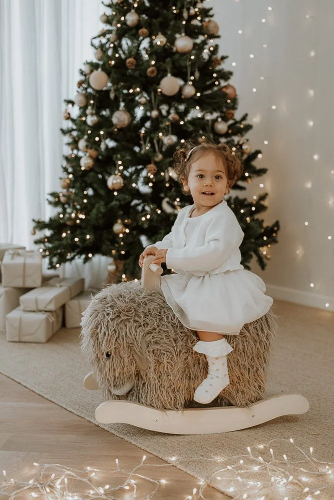 Christmas Minis-30.jpg