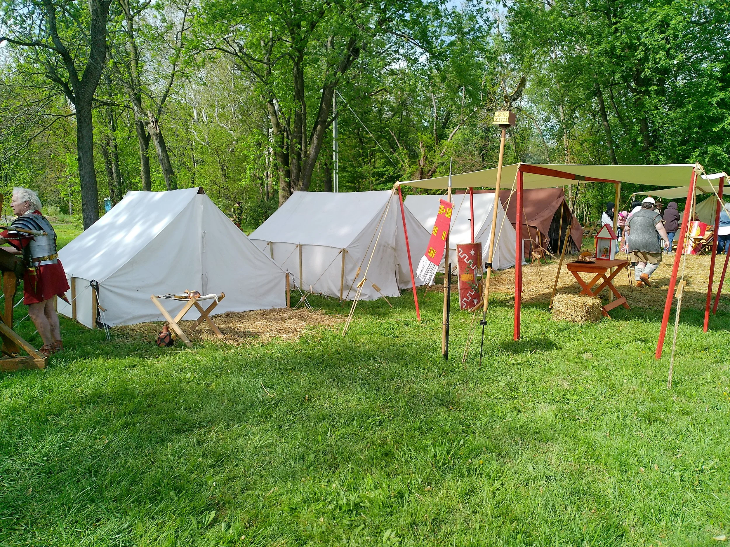 20240601_000217.JPG