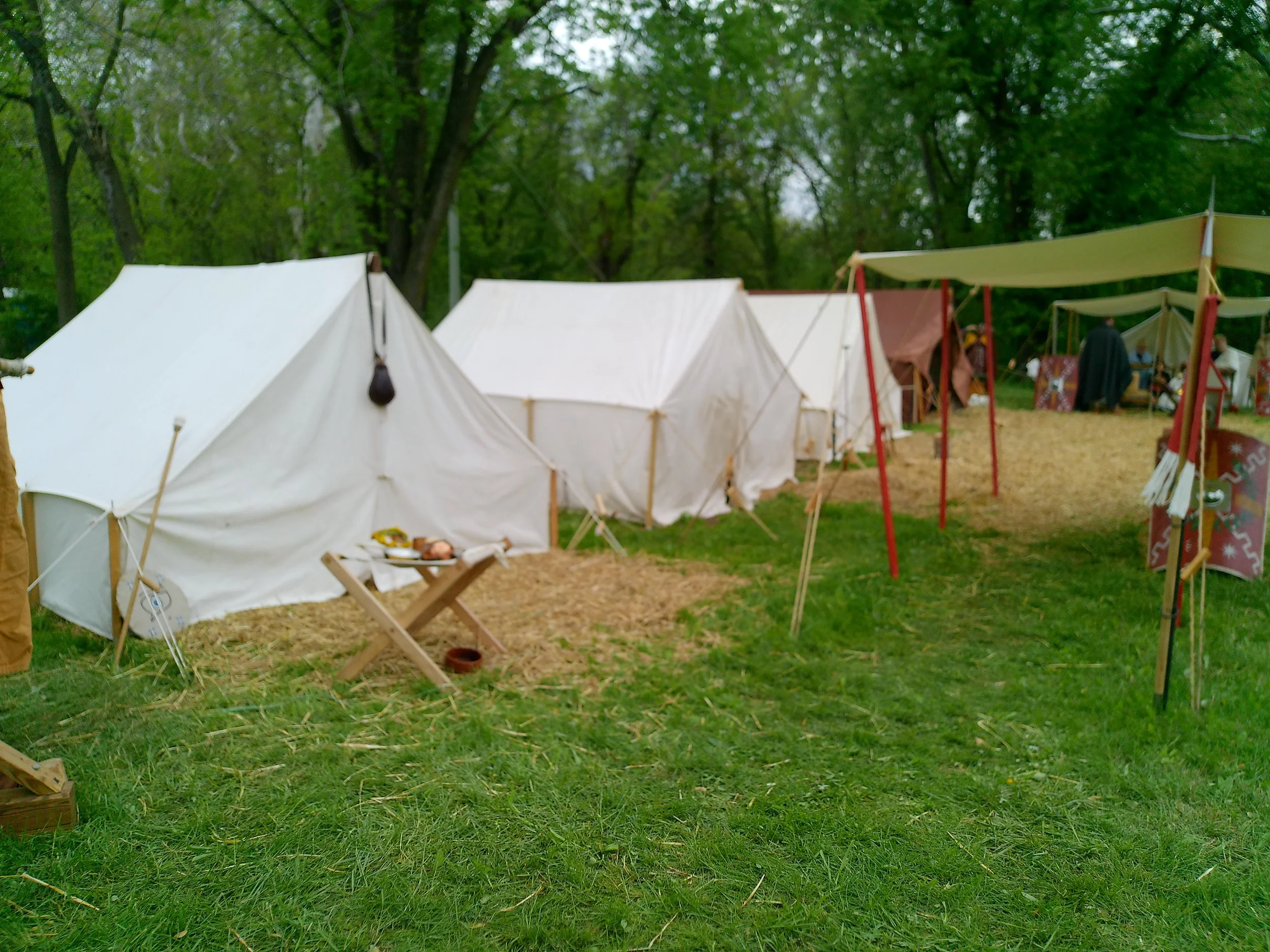 20240601_045747.JPG