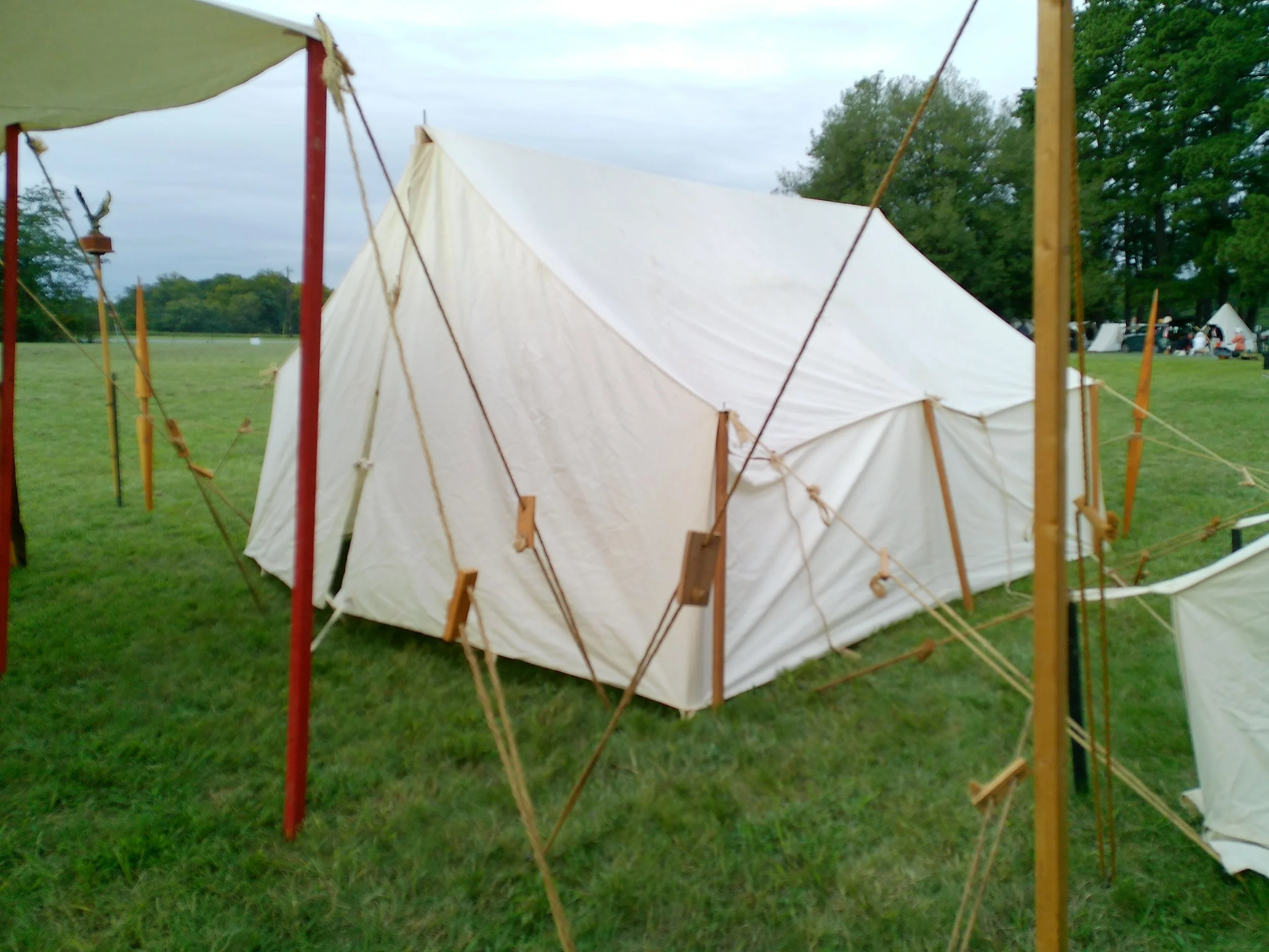 20240602_112129 - Copy.JPG