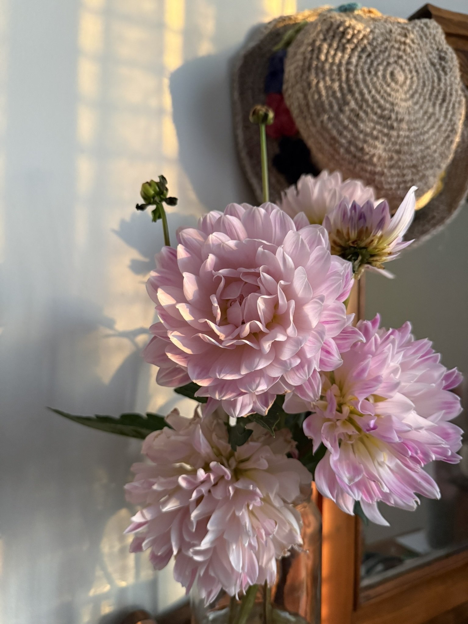 IMG_1673.JPEG