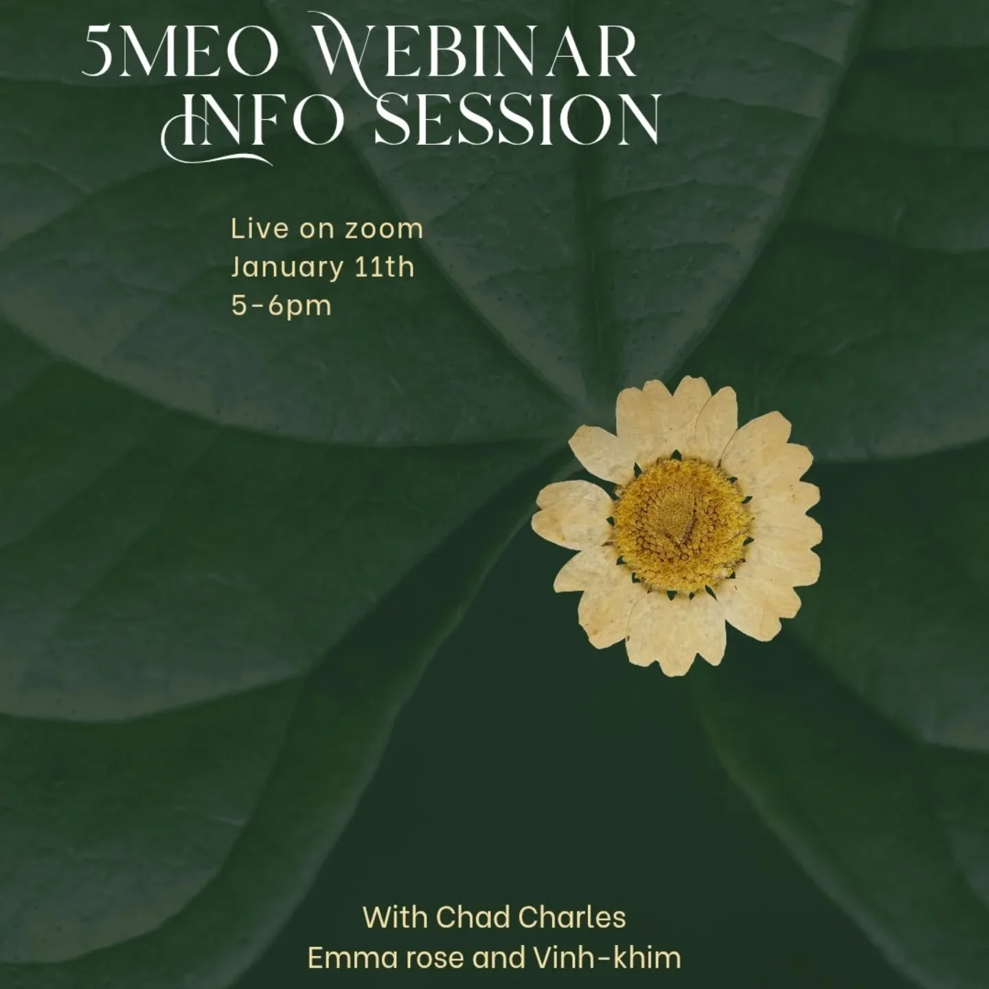 Greetings, friends! 

As part of a mentorship I am embarking on, I will be curating a live webinar this coming Sunday at 5pm. I will be joined by a wonderful facilitator and mentor of mine, Chad. As well as another mentee Vinh-Kim. 

We will be discu