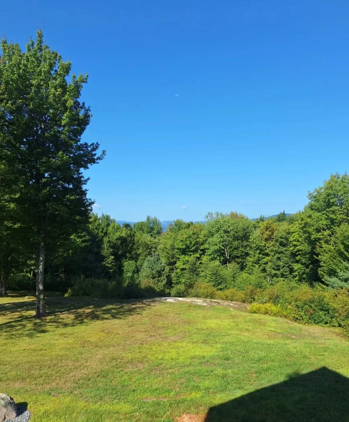 Hello friends, 

I'm officially packing up and moving to the woods 🌲 

I've been in Canada since 2014 and it's time for me to close this chapter for good? I think anyway. It's been quite a journey, and boy have I learned a whole lot. I feel like I'v