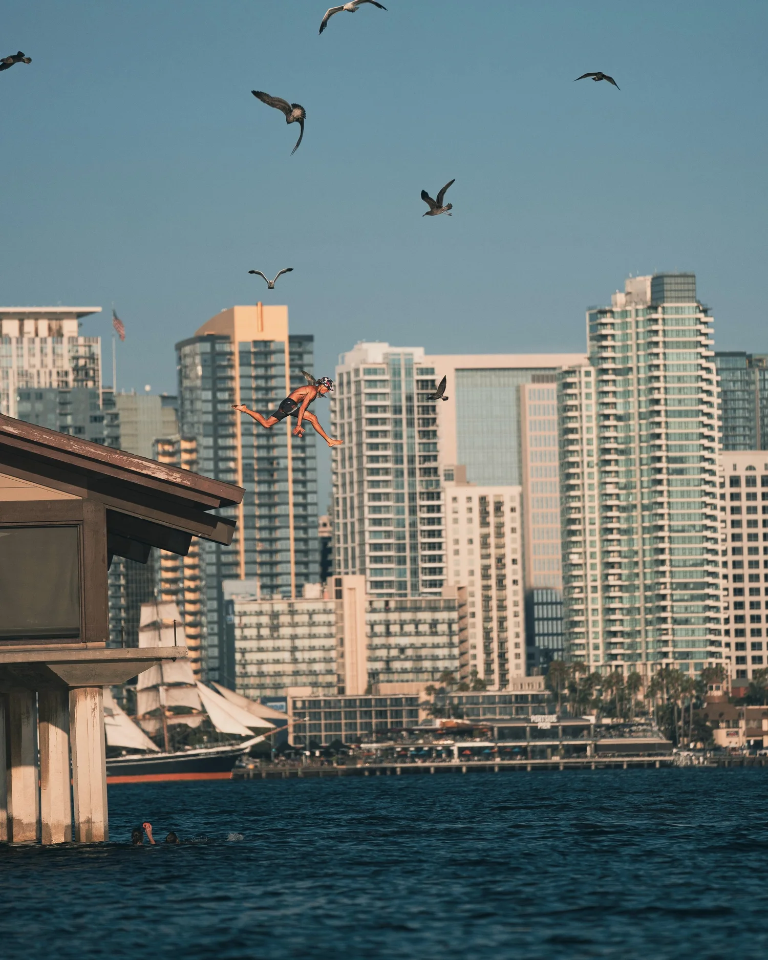 Person jumping into the bay with the San Diego skyline behind