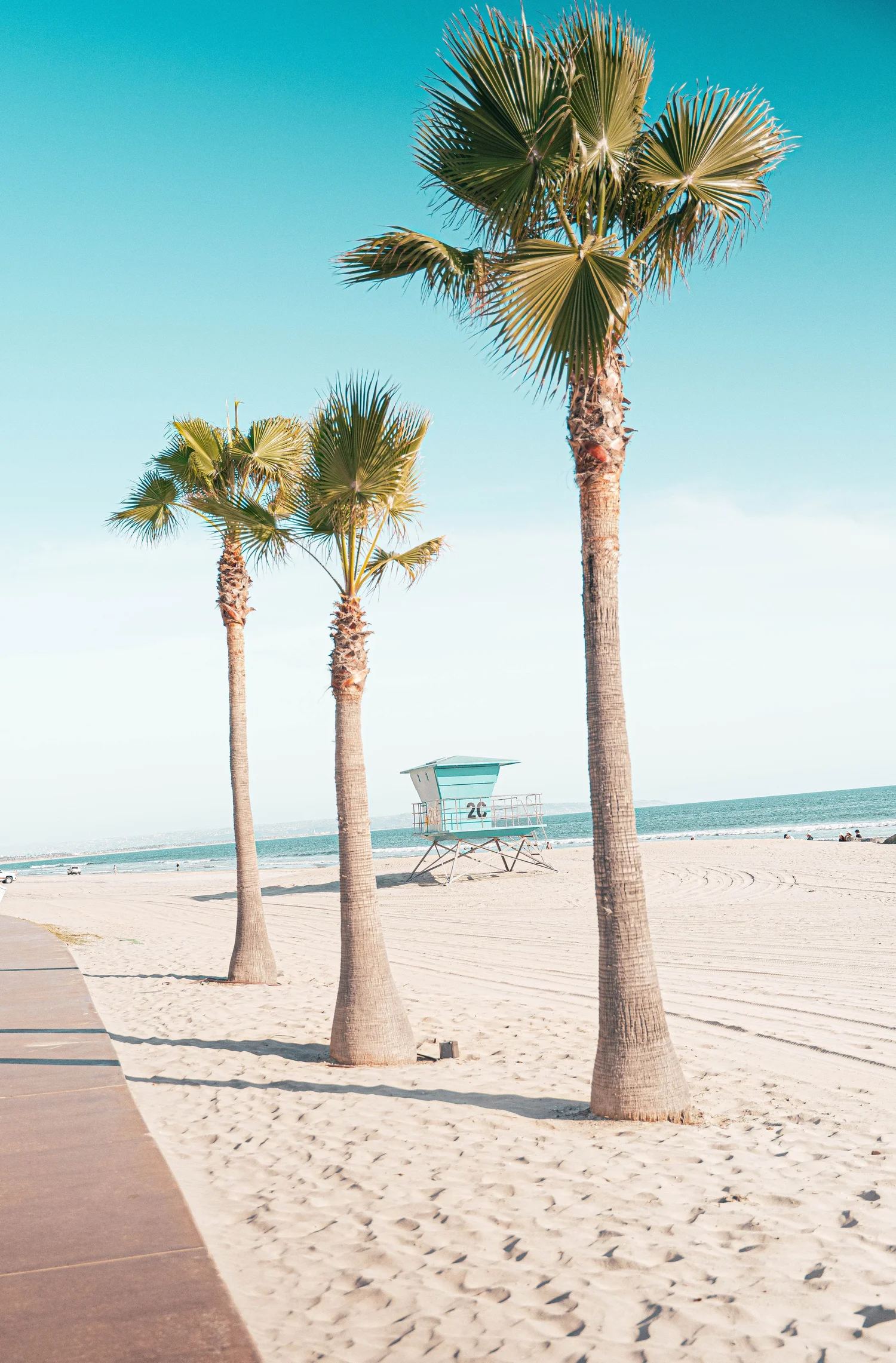 Palm trees and lifeguard tower on the beach