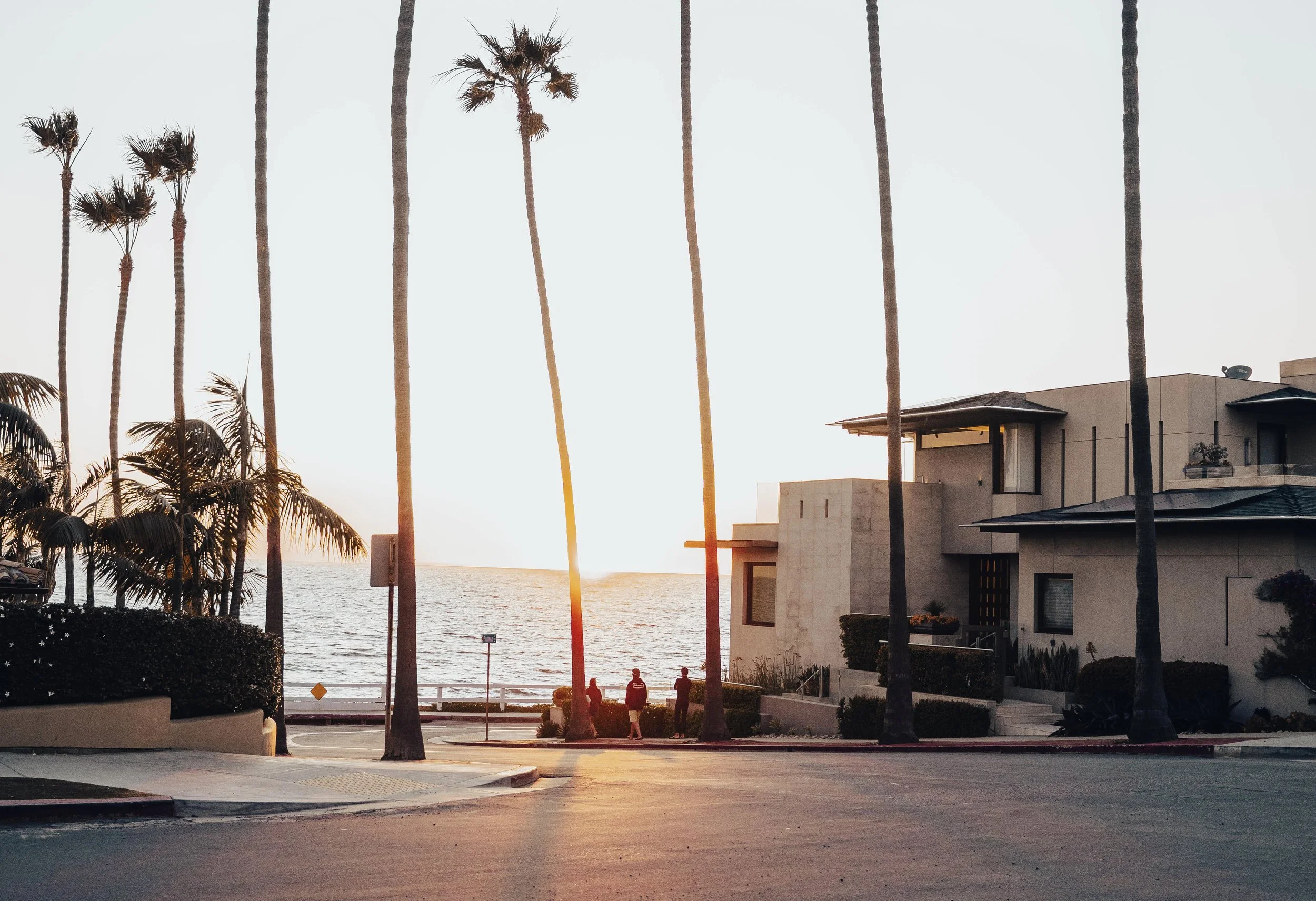 Palm trees at sunset by the ocean in San Diego
