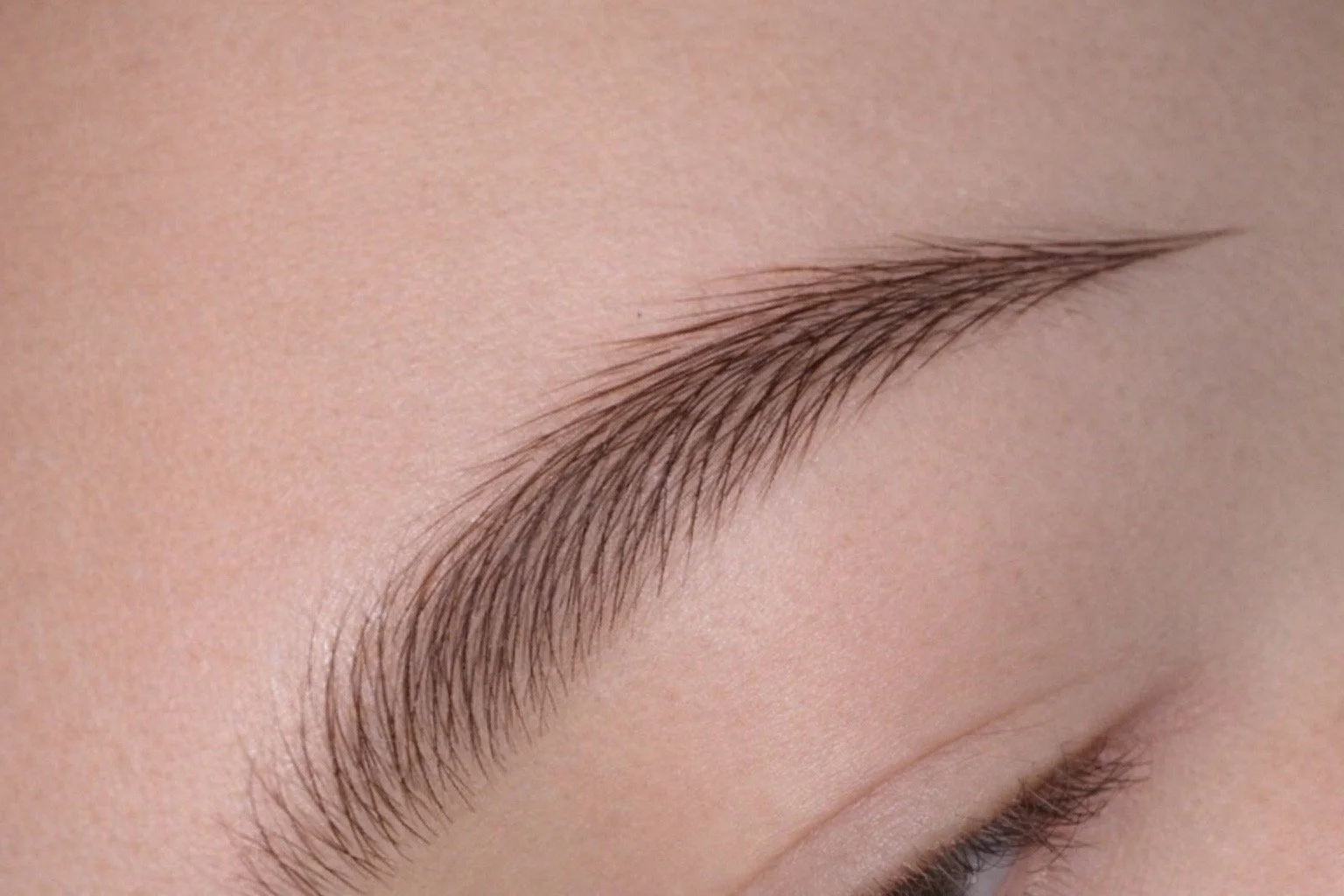 Nano Brow (Modern Microblading Technique)
