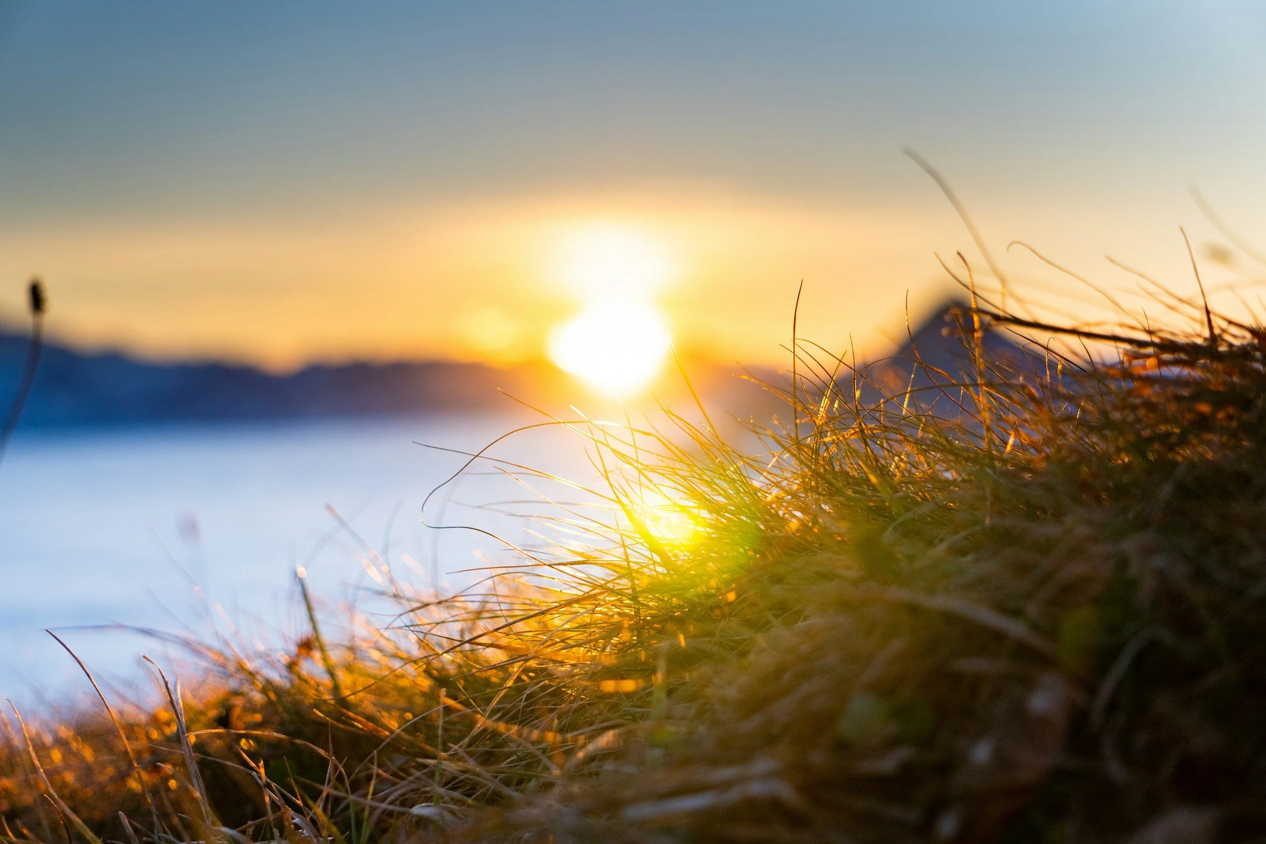sun rising over water with grass in the foreground.