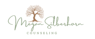 Megan Silberhorn Counseling