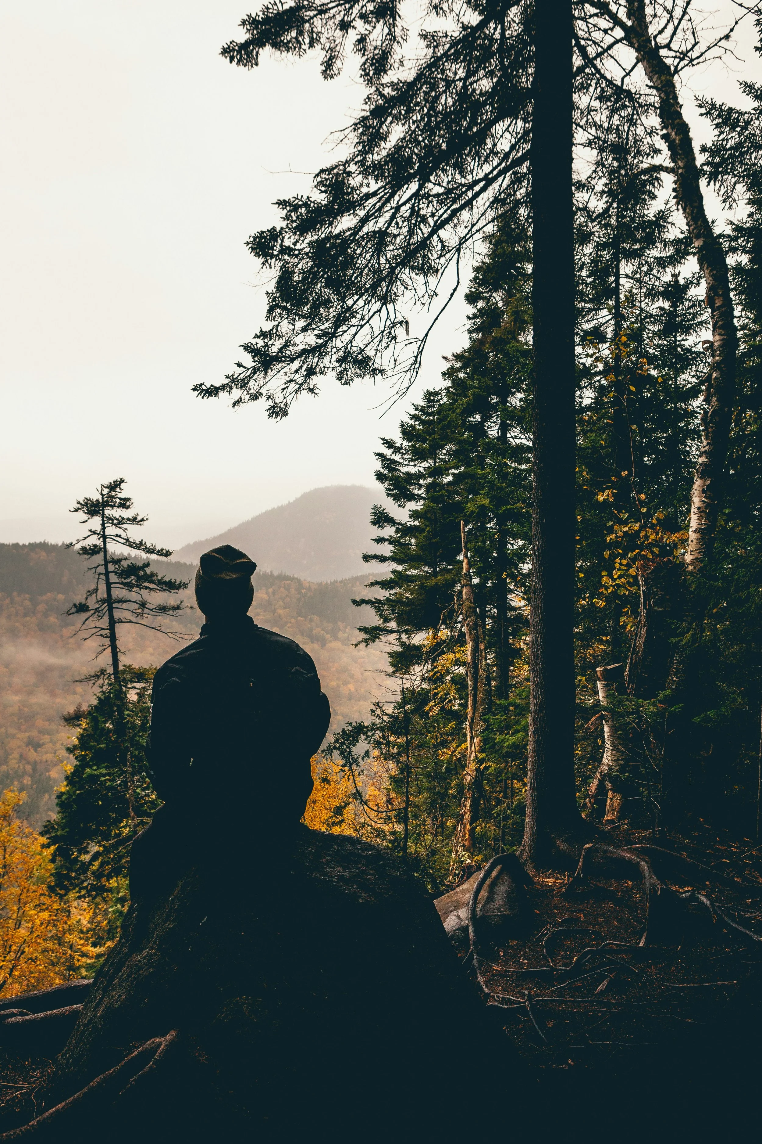 Person sitting on a rock overlooking a mountain landscape in fall.